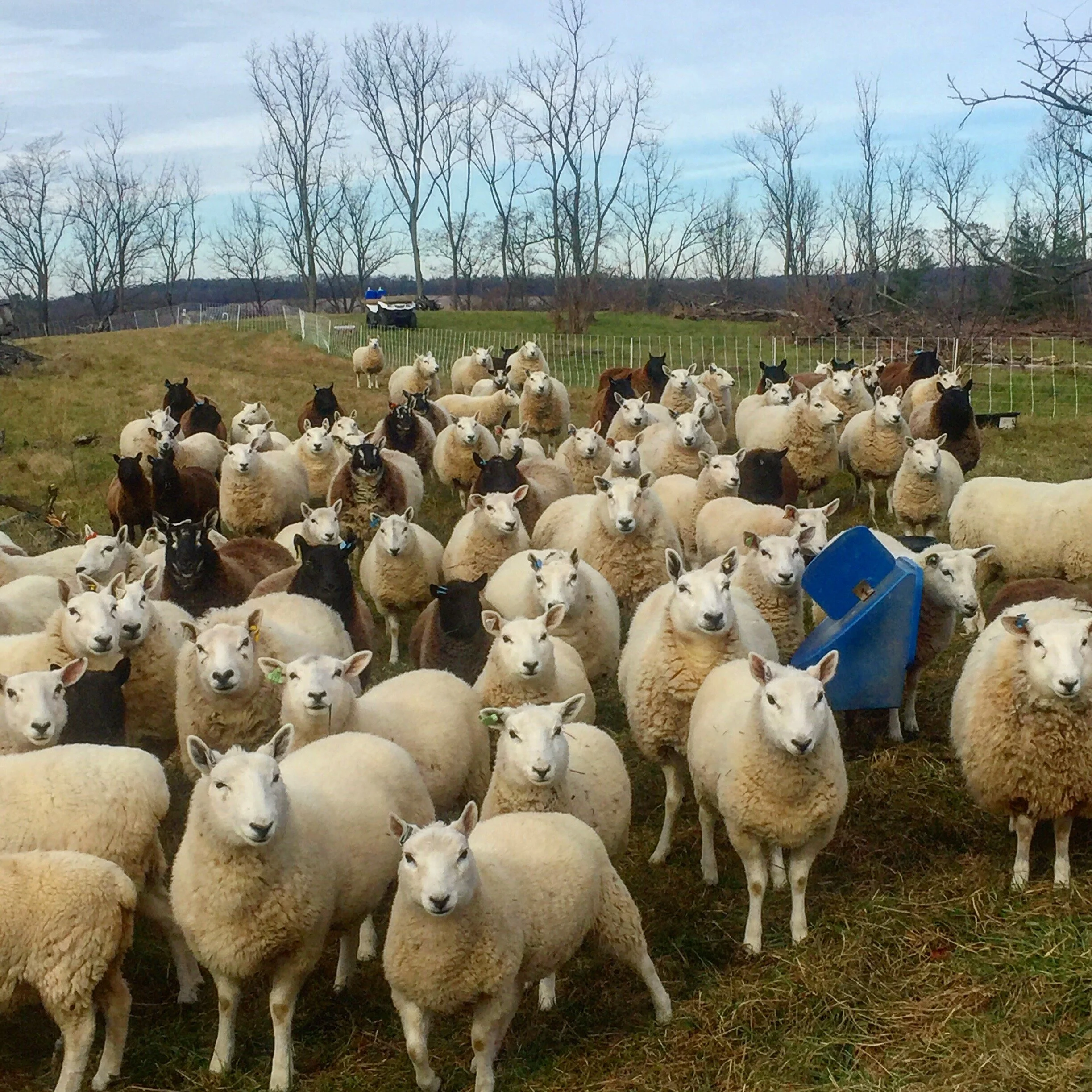 New Year, New Prices, New Happenings...