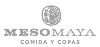 meso+maya+gray.png
