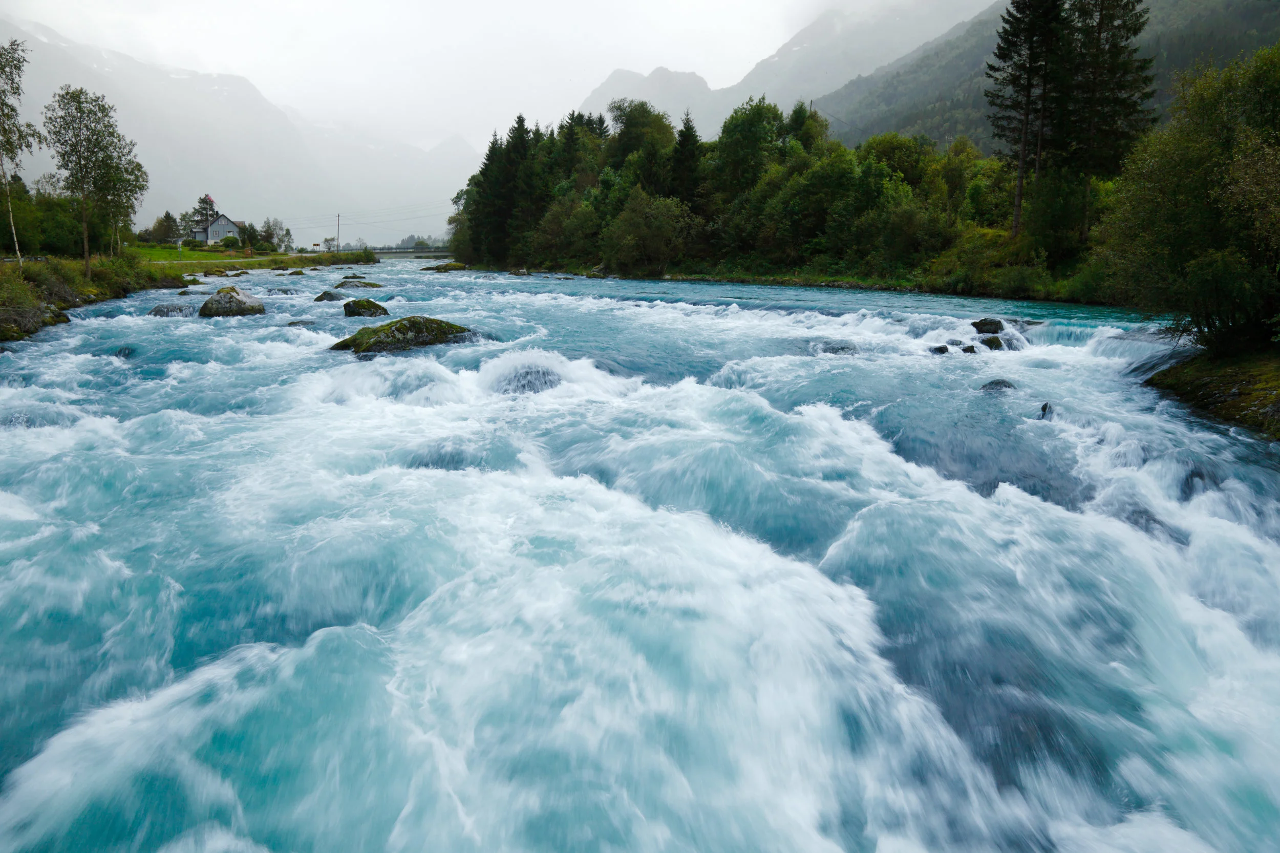 River.jpg