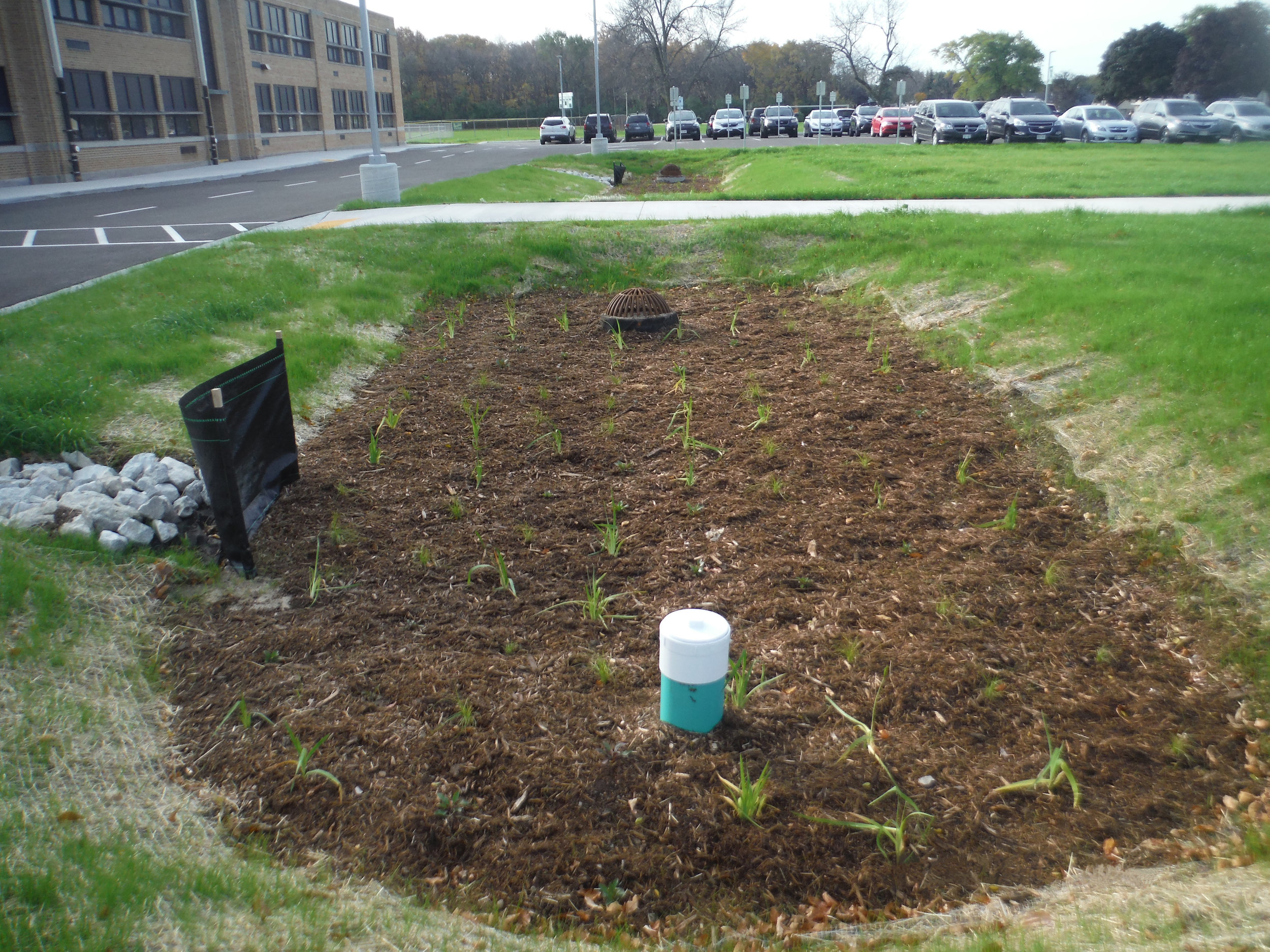 Glenwood Elementary Green Infrastructure &amp; Ecological Learning Area