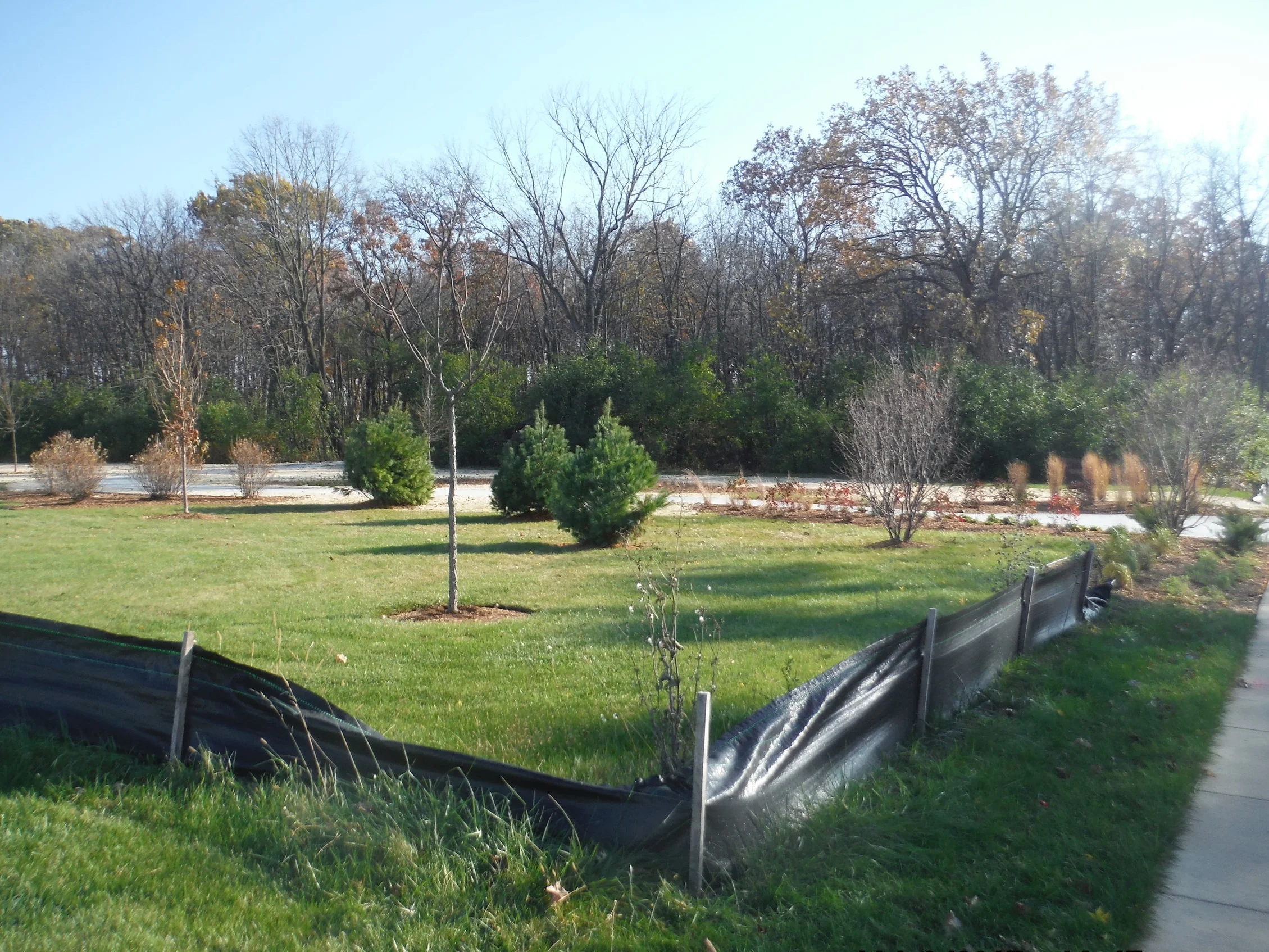 Entrance to Community Forest