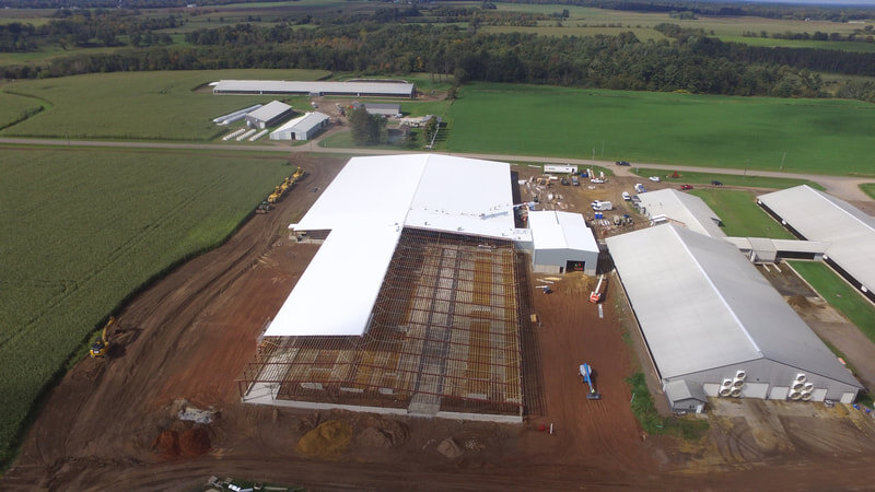 Construction Progress on the Freestall Barn and Separation Building