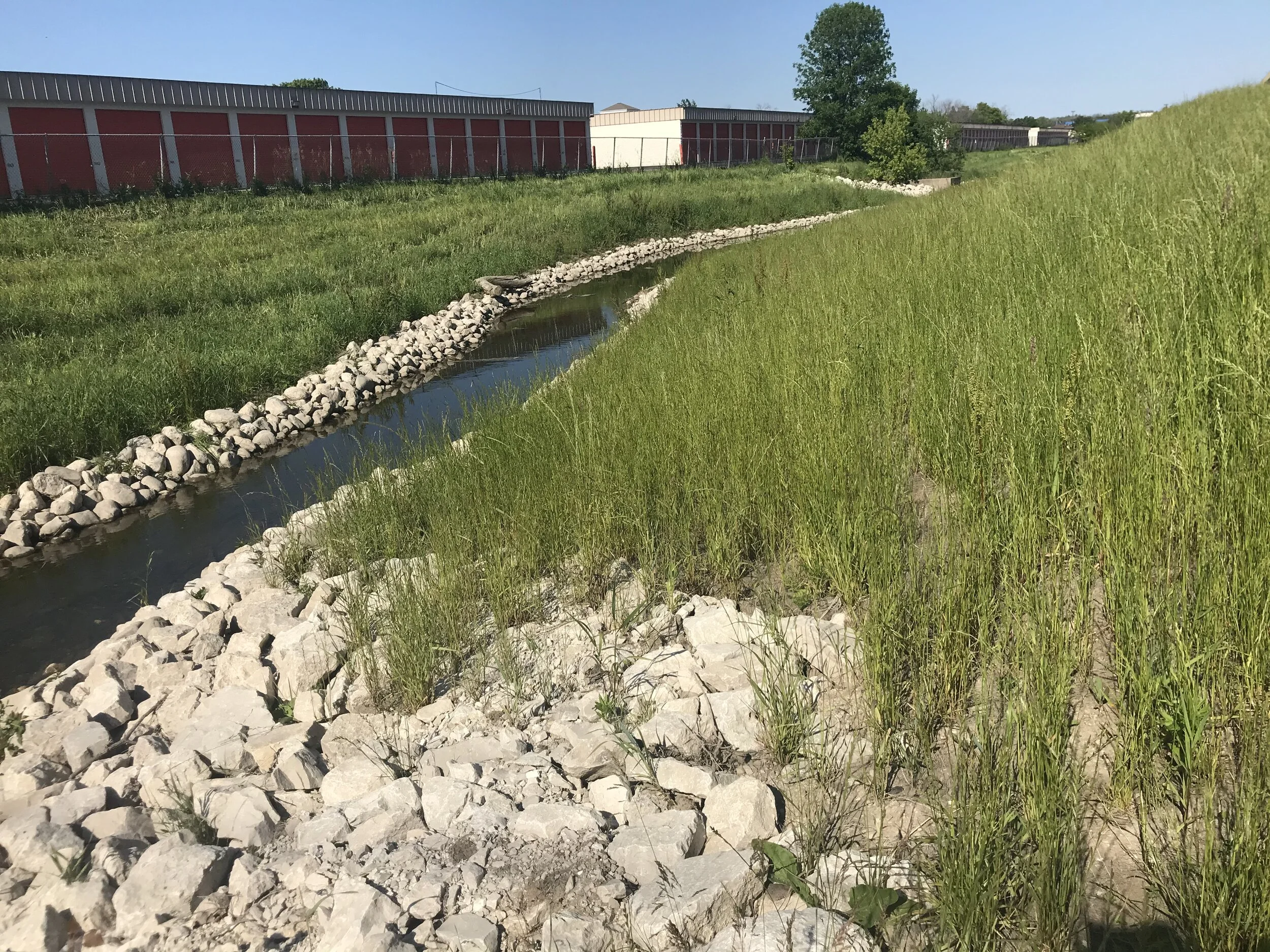 Beaver Creek Restoration &amp; Naturalization