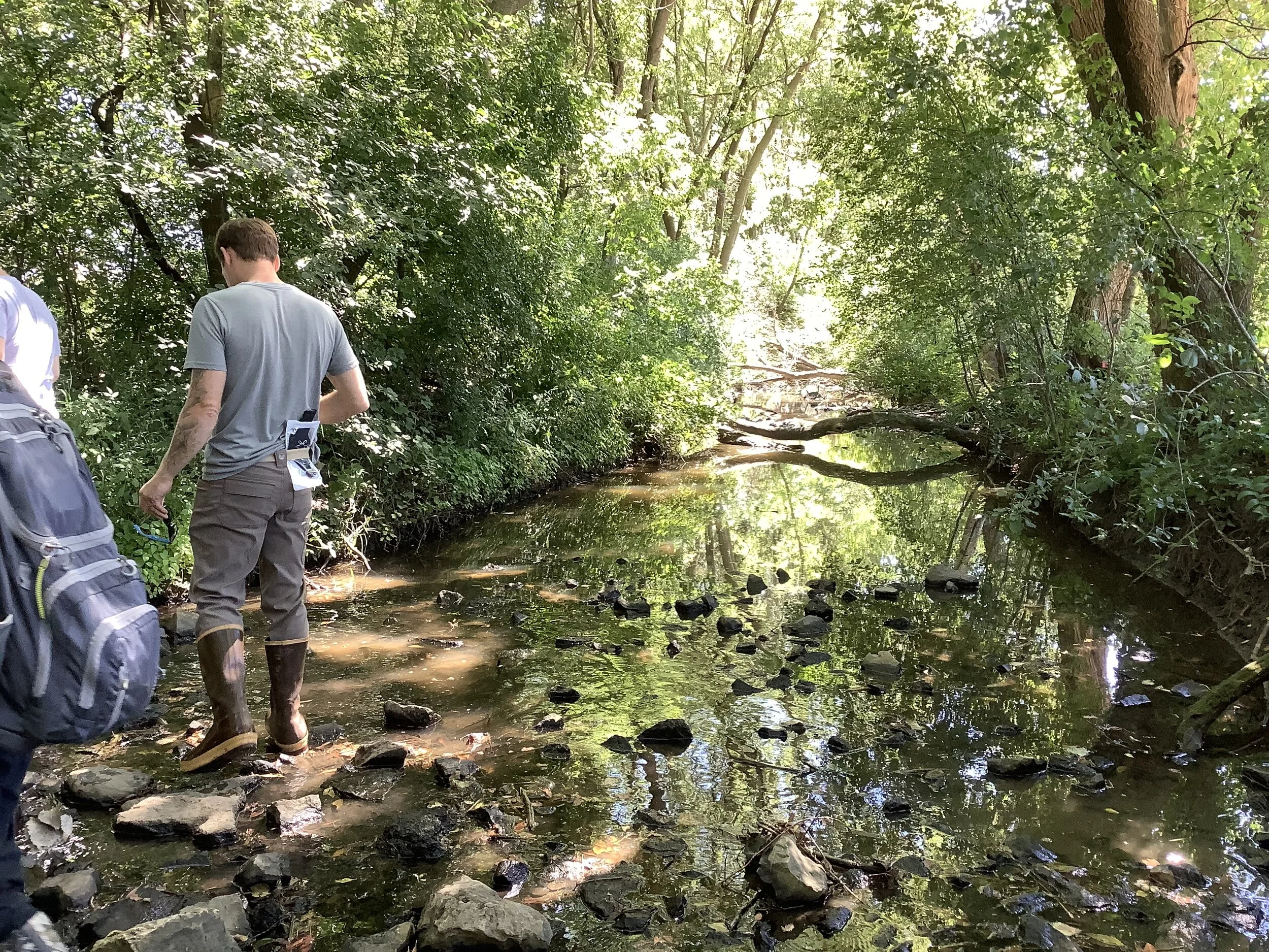 Honey Creek Restoration 30% Funded with Grants