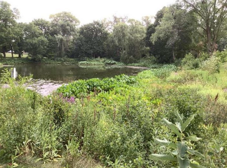 How MMSD Streamlined Their Green Infrastructure Inspection Program