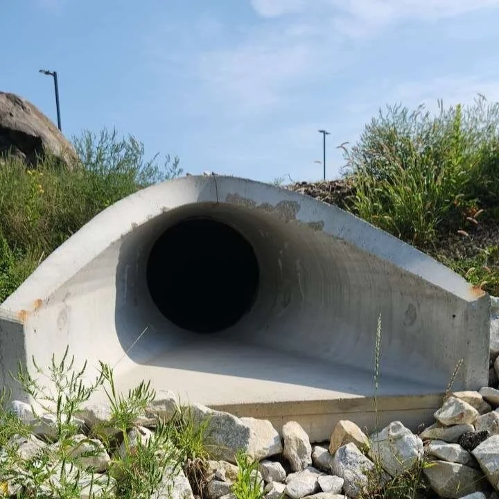 Clear Data, Clean Water: IDDE Compliance