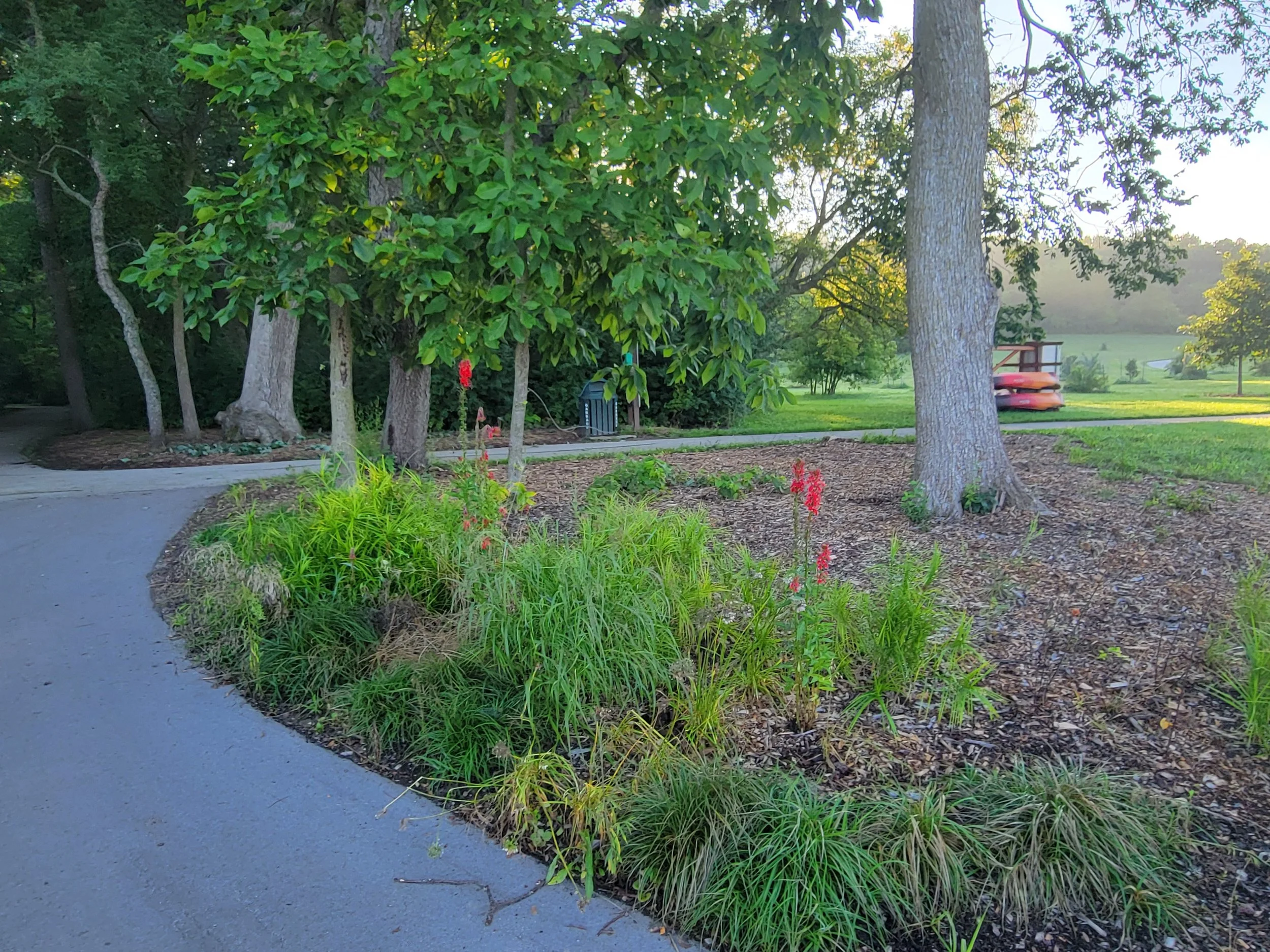 Landscape Architecture: Where Good Design Takes Root