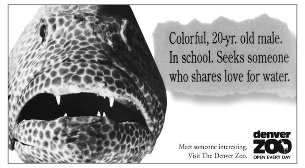 Denver-Zoo_fish_sm.jpg
