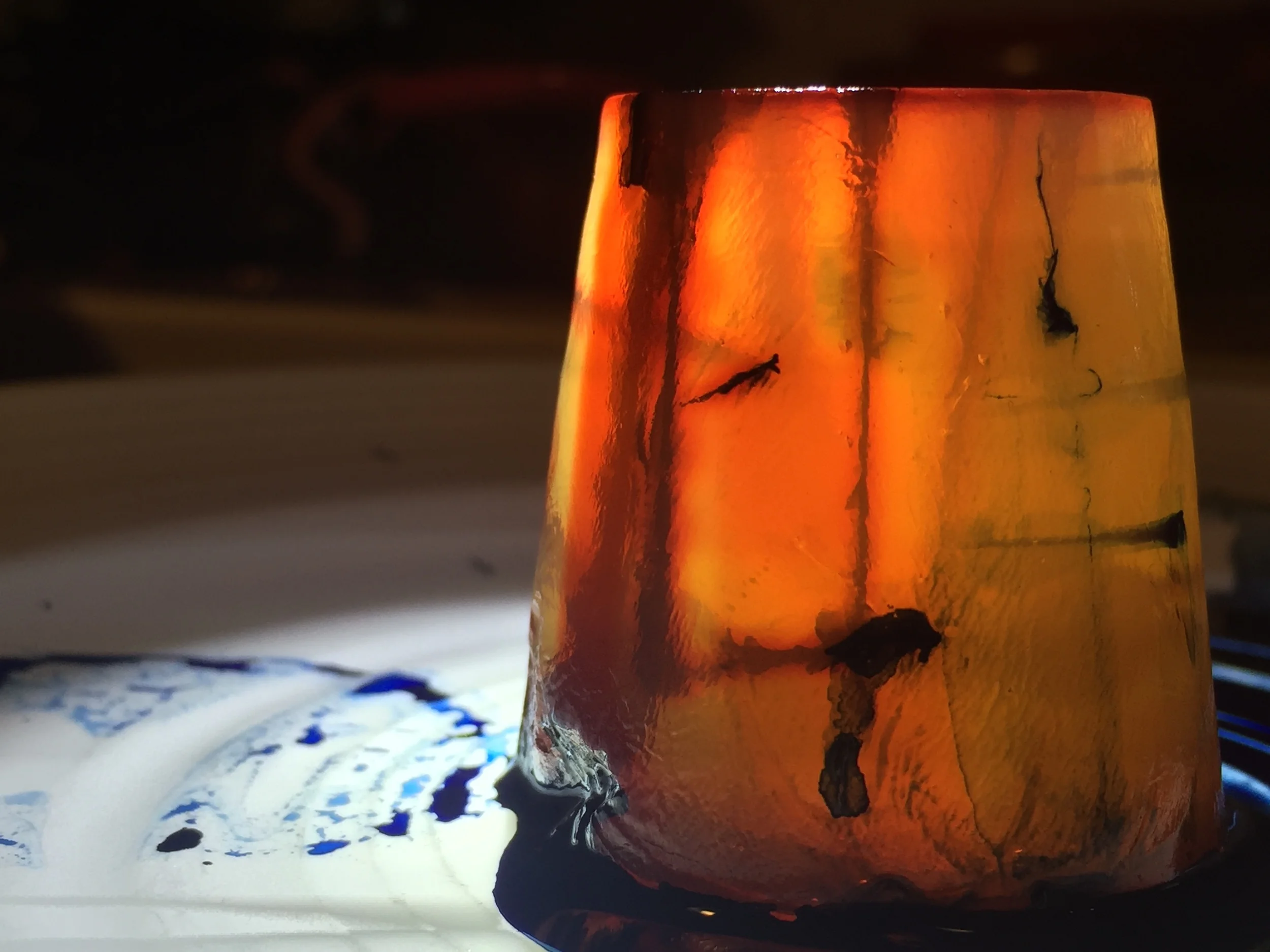 3D agar step.JPG