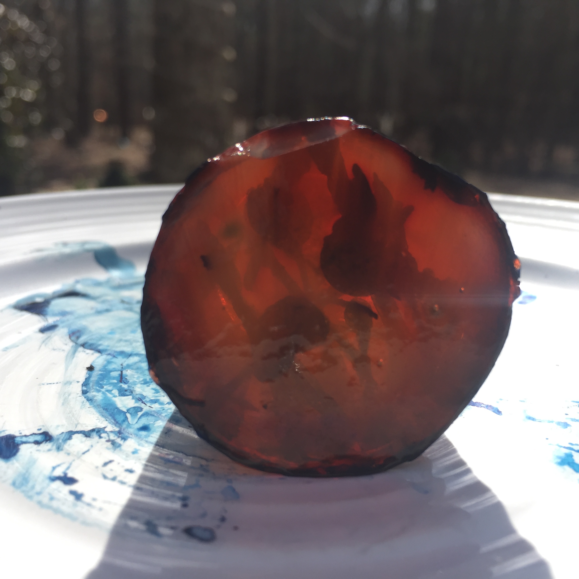 3D agar looking through.JPG