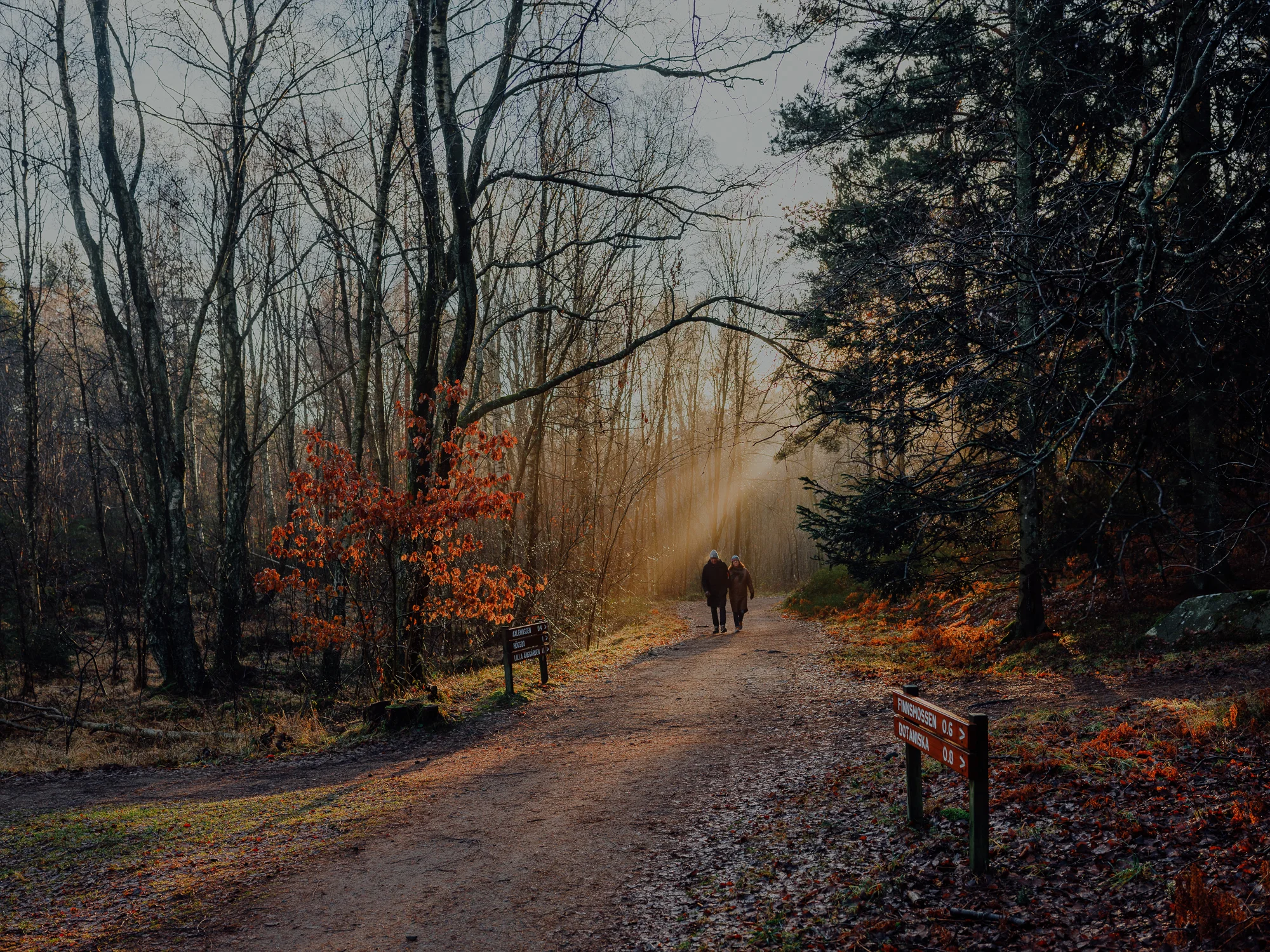 Winter light # 4