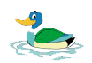 duck .png