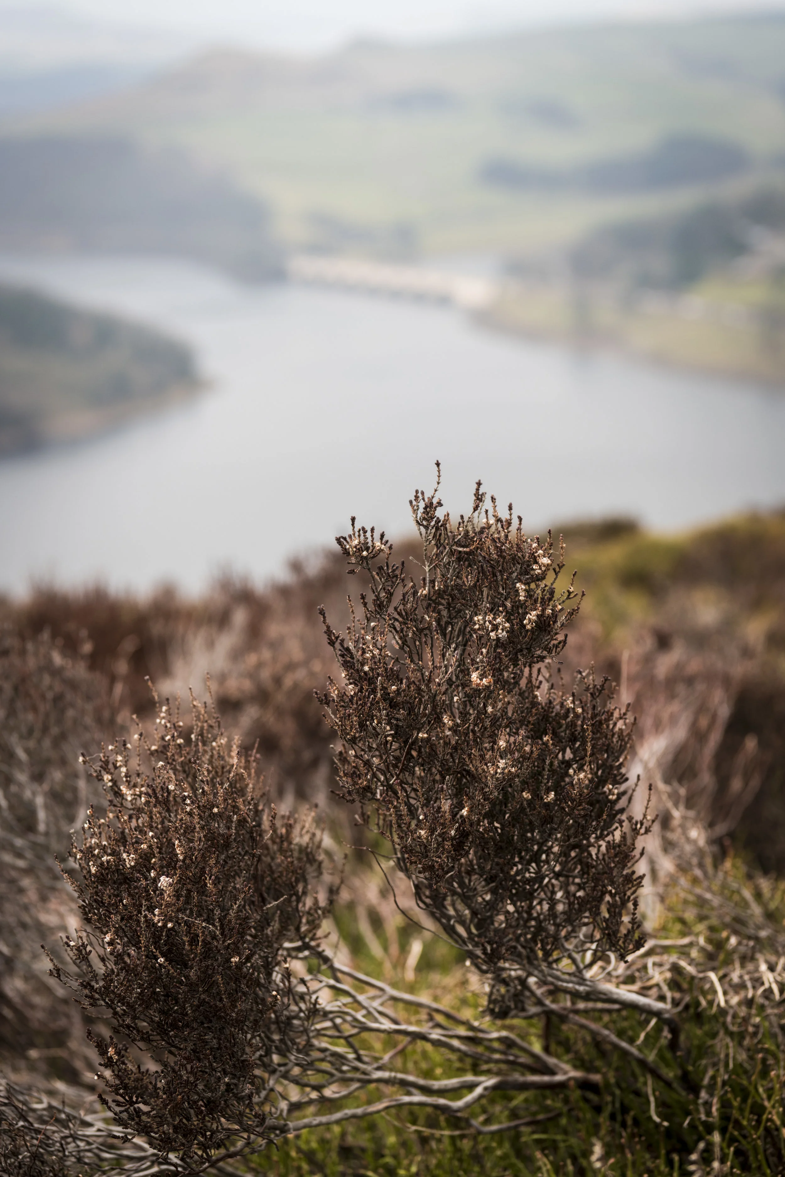 Bamford Edge 06.jpg