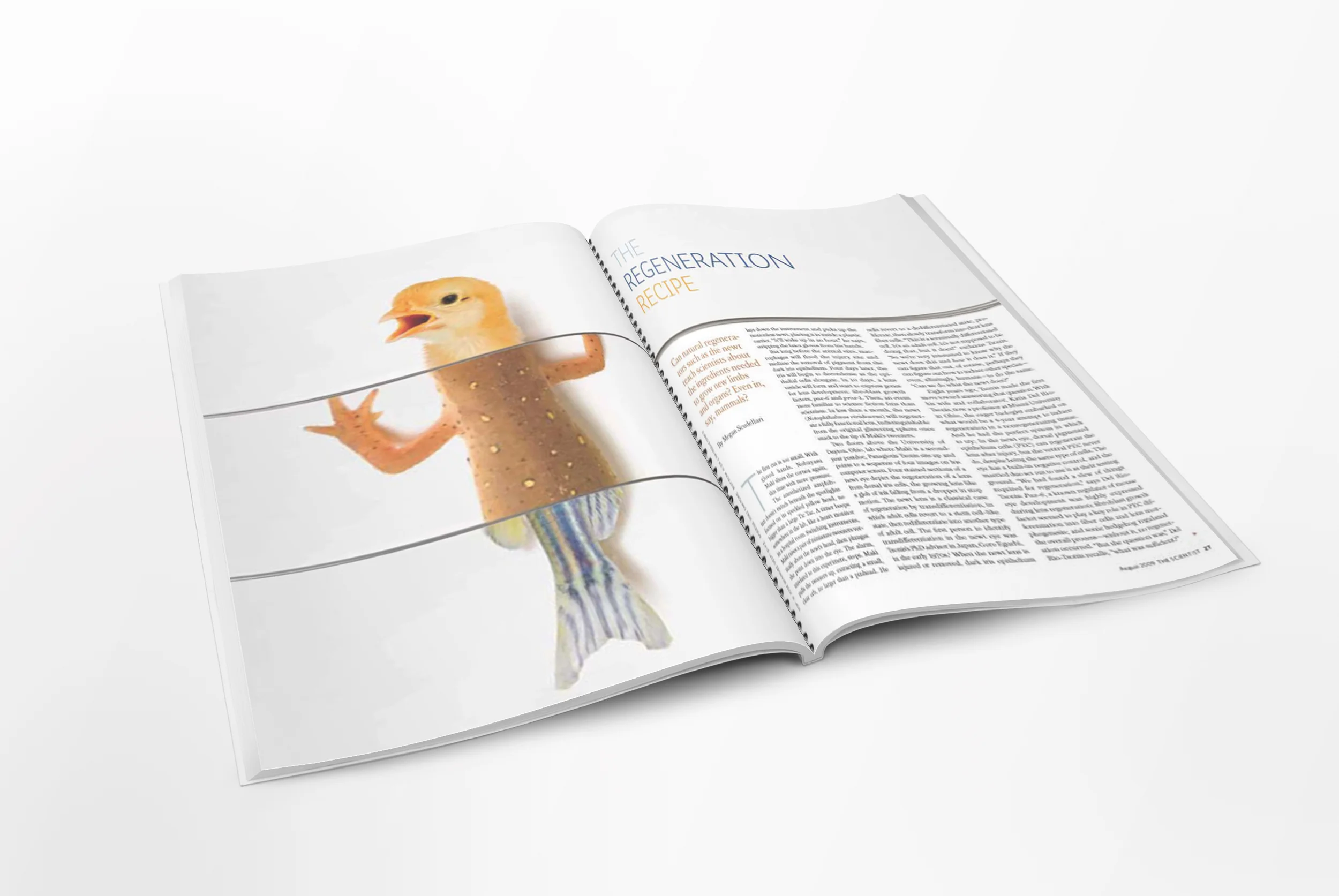 05_Letter-Magazine-Mockup_TS-spread_regeneration.jpg