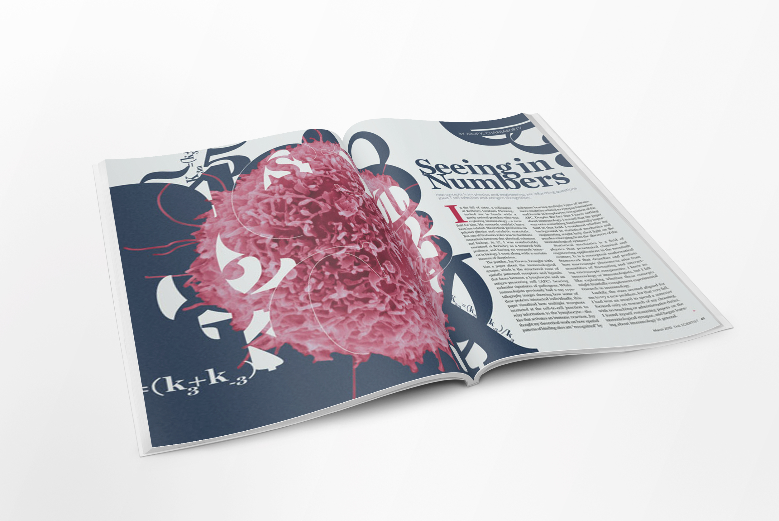 05_Letter-Magazine-Mockup_TS-spread02.jpg