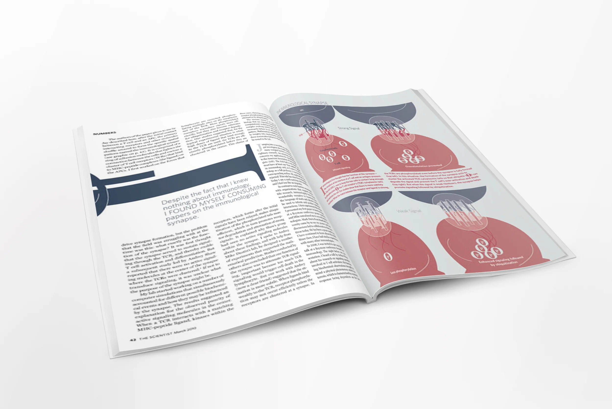 05_Letter-Magazine-Mockup_TS-spread02_2.jpg