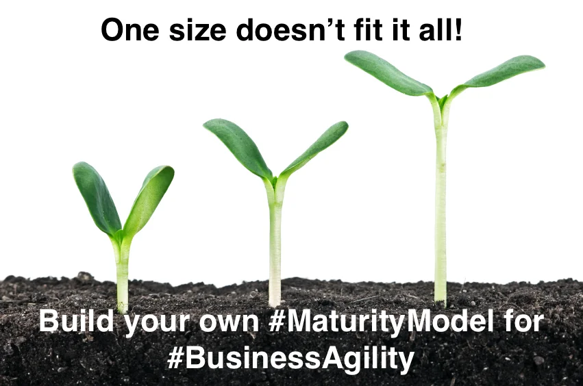 Es gibt nicht die eine Lösung - Erstellen Sie Ihr eigenes Maturitätsmodel für Business Agilität