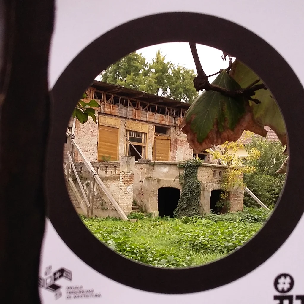 Mesaj: Degradarea continuă a cladirilor istorice din oraș ilustrată punctual pe Casa Mühle Locație: Intersecția Bulevardului Mihai Viteazu cu Bulevardul Victor Babeș Autor: Paula-Maria Duță Profesie: Ilustrator link facebook