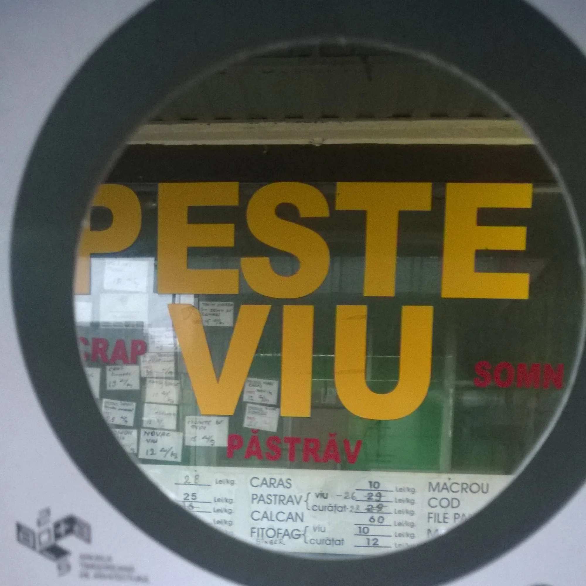 Mesaj: Pppriveşte oraşul, este viu! Locație: Piaţa 700 Autor: Adelina Cioată Profesie: Arhitect link facebook