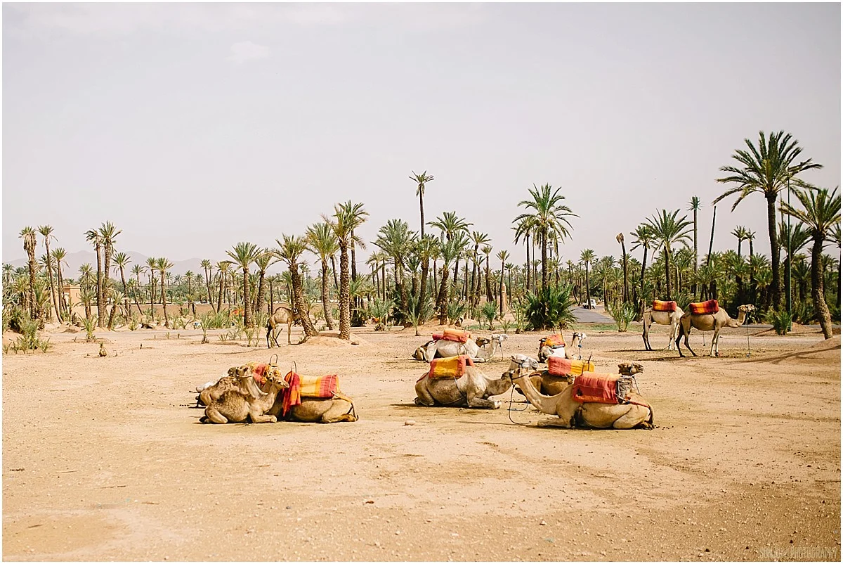 Morocco_Travel_Photography_Marrakech_Sonju_0024.jpg