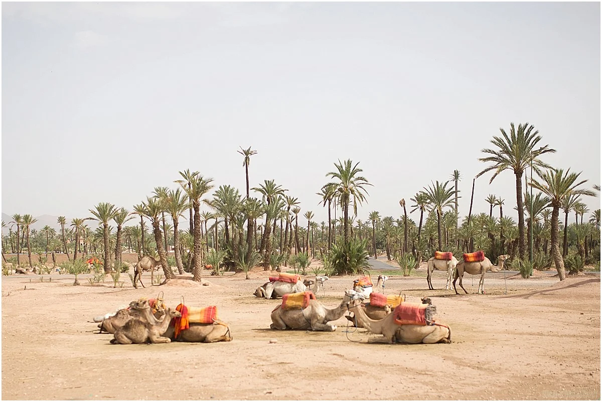 Morocco_Travel_Photography_Marrakech_Sonju_0031.jpg