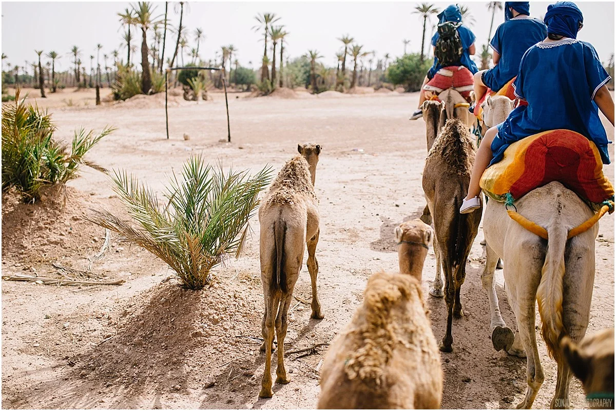 Morocco_Travel_Photography_Marrakech_Sonju_0032.jpg