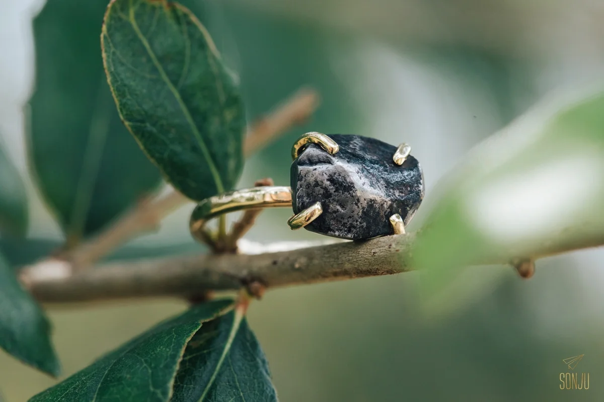 Meteorite Ring