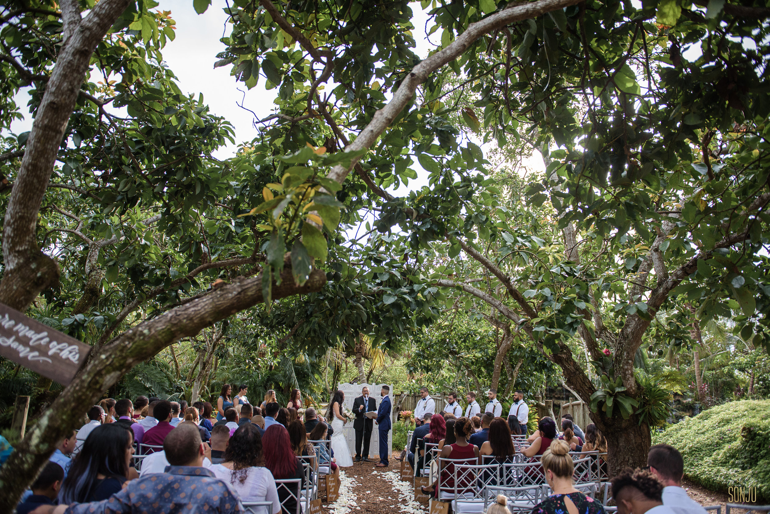 Miami Wedding Photographers at the Old Grove
