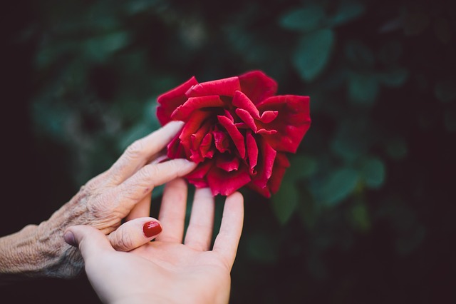 bloom-1846200_640 (1).jpg