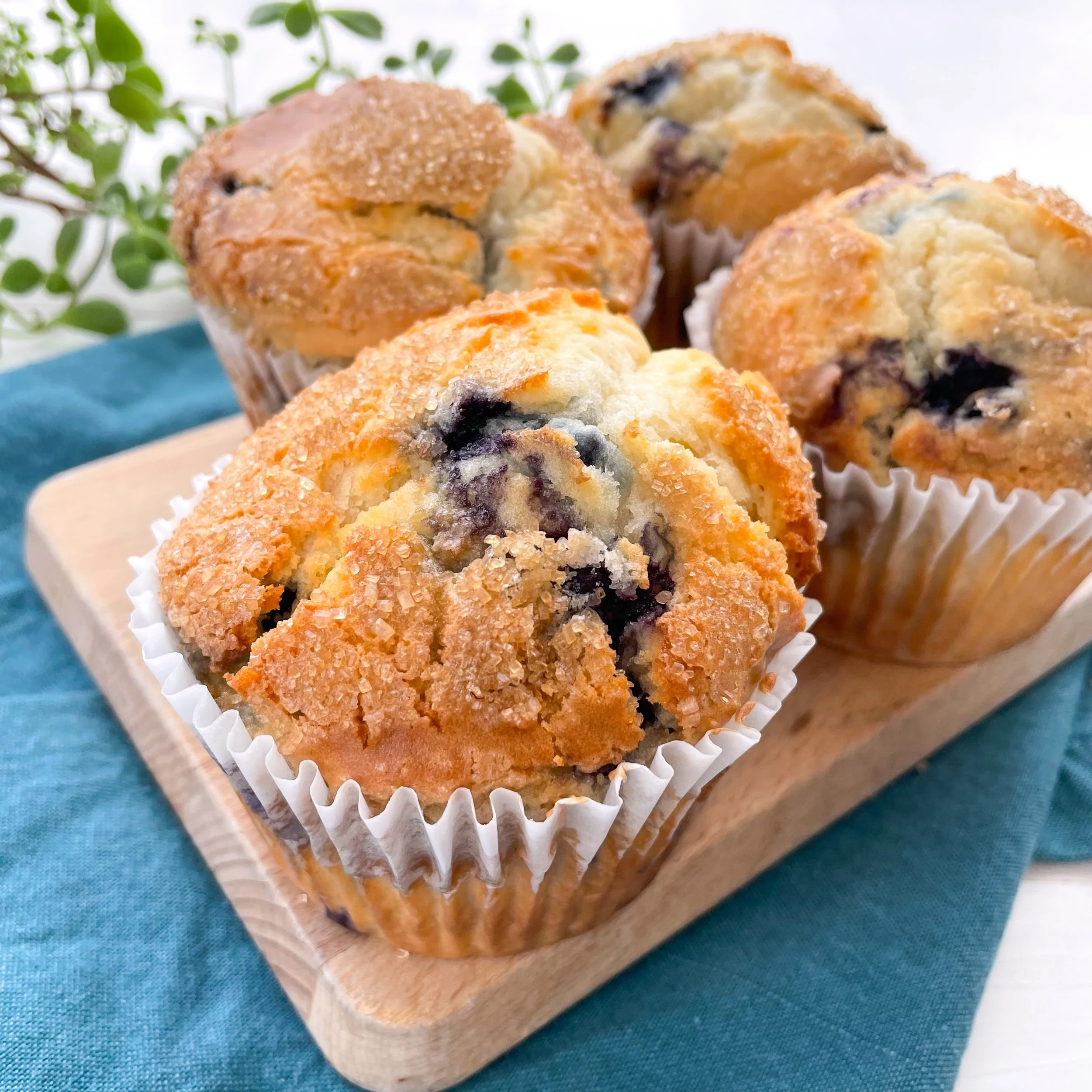 Blueberry Muffin 2025 - 3.JPG