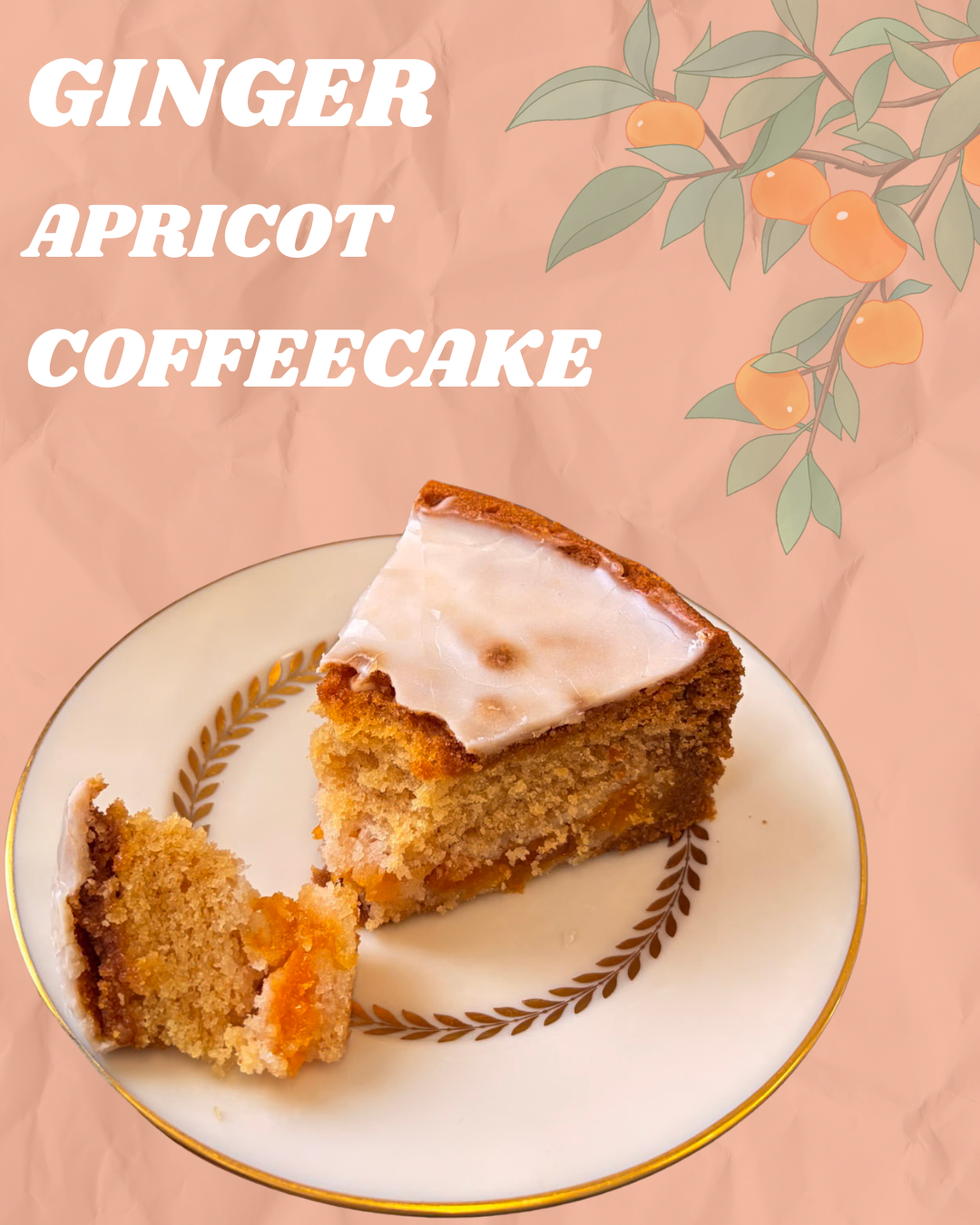 APRICOT(3).png
