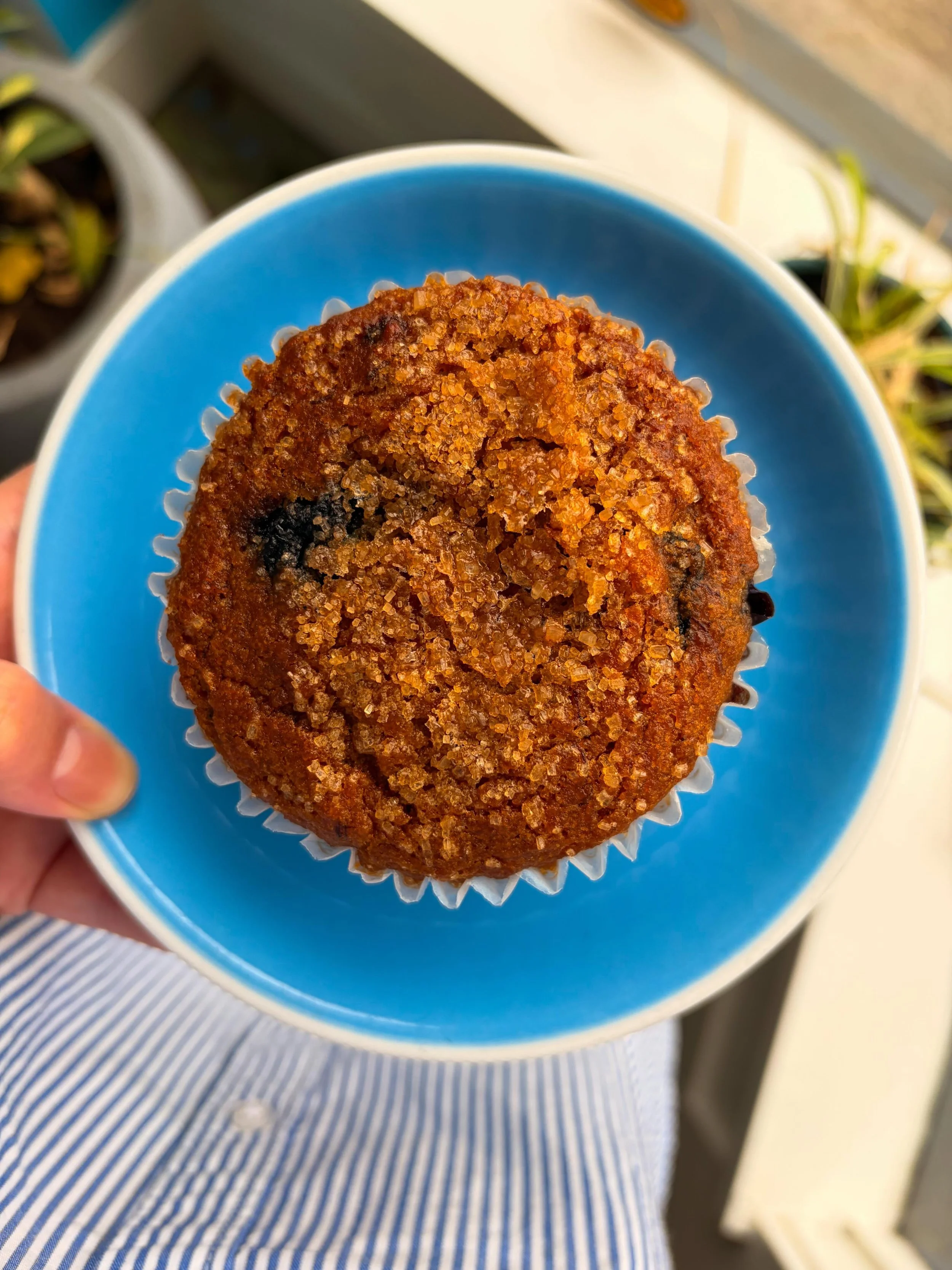 We&rsquo;ve got vegan blueberry muffins to brighten up your day 🫐 Gluten free and delicious, as always 💎#glutenfree #pdxeats #glutenfreevegan #veganpdx #glutenfreegem