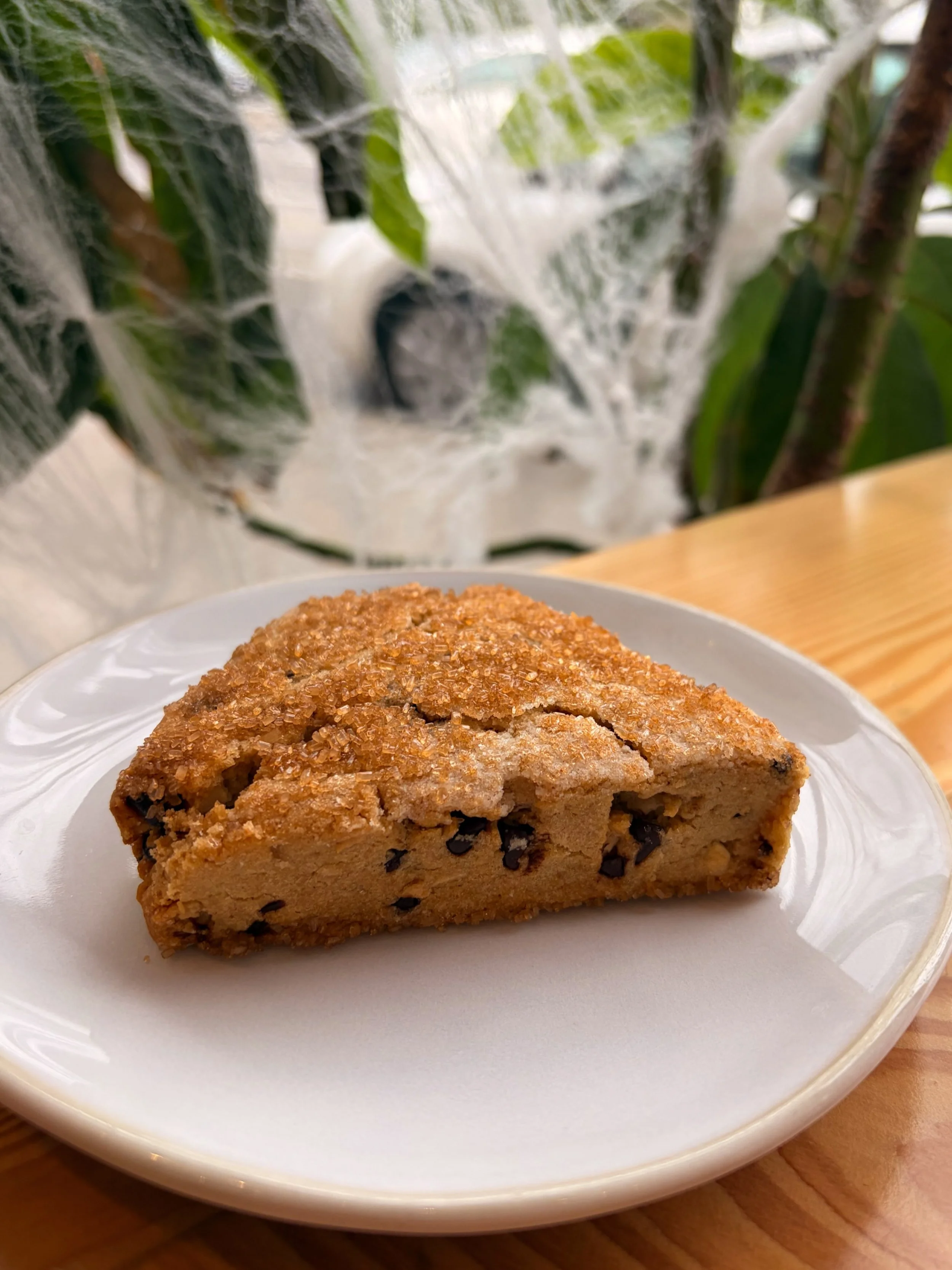 Our vegan seasonal scone flavor has changed and the iconic coconut chocolate chip is back 🙌🏻 Come on by this weekend and grab one.. or two. #glutenfree #glutenfreevegan #pdxeats #pdxvegan