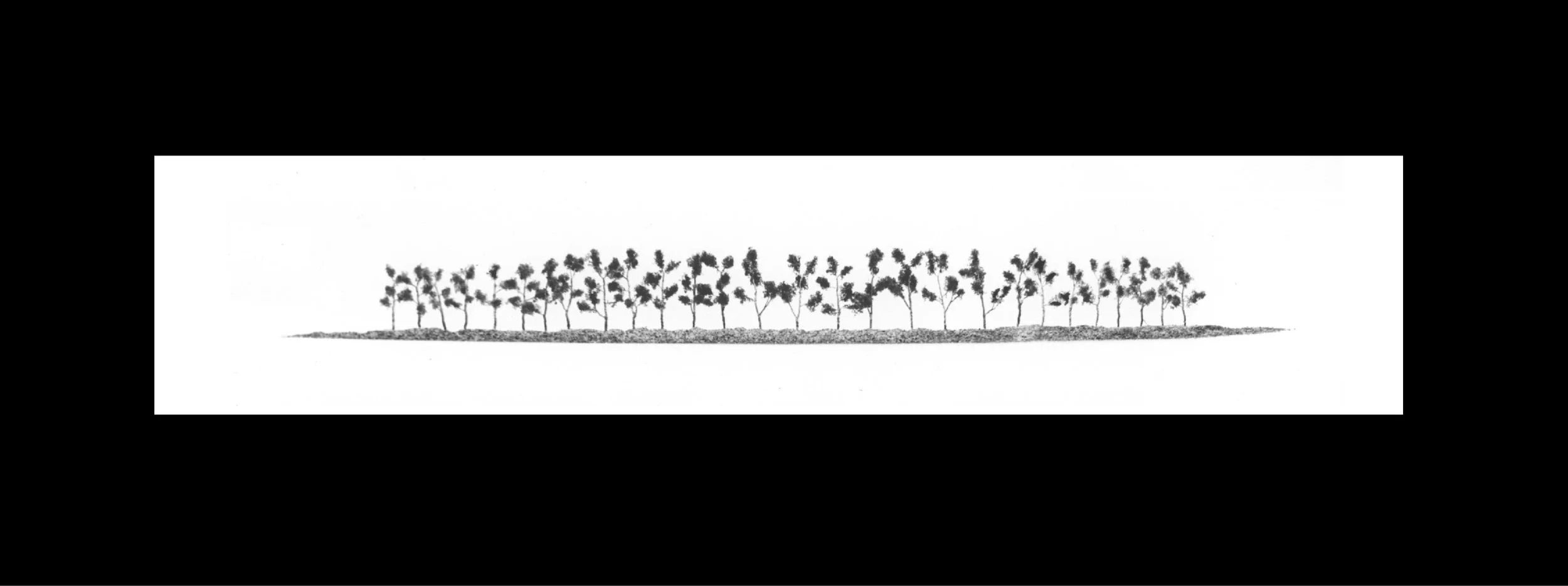 Straight-line trees I.jpg