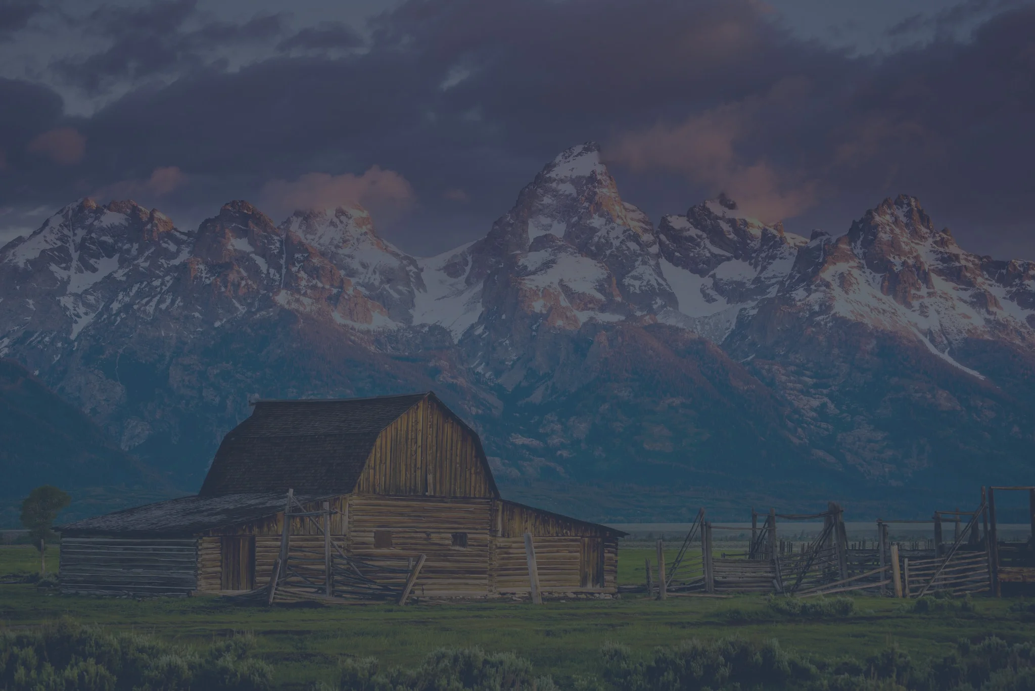 banner-bg.jpg