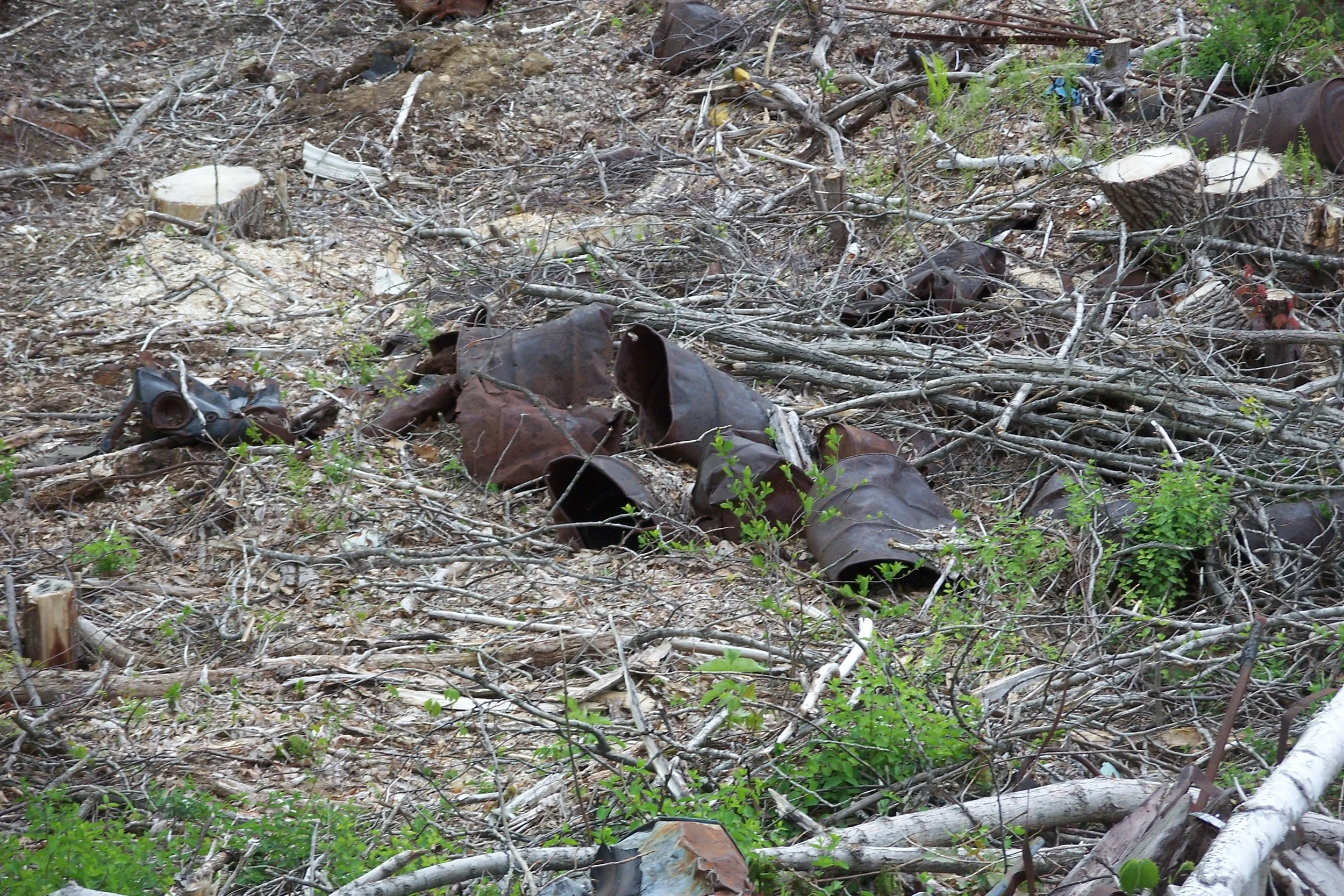 100_1042.jpg