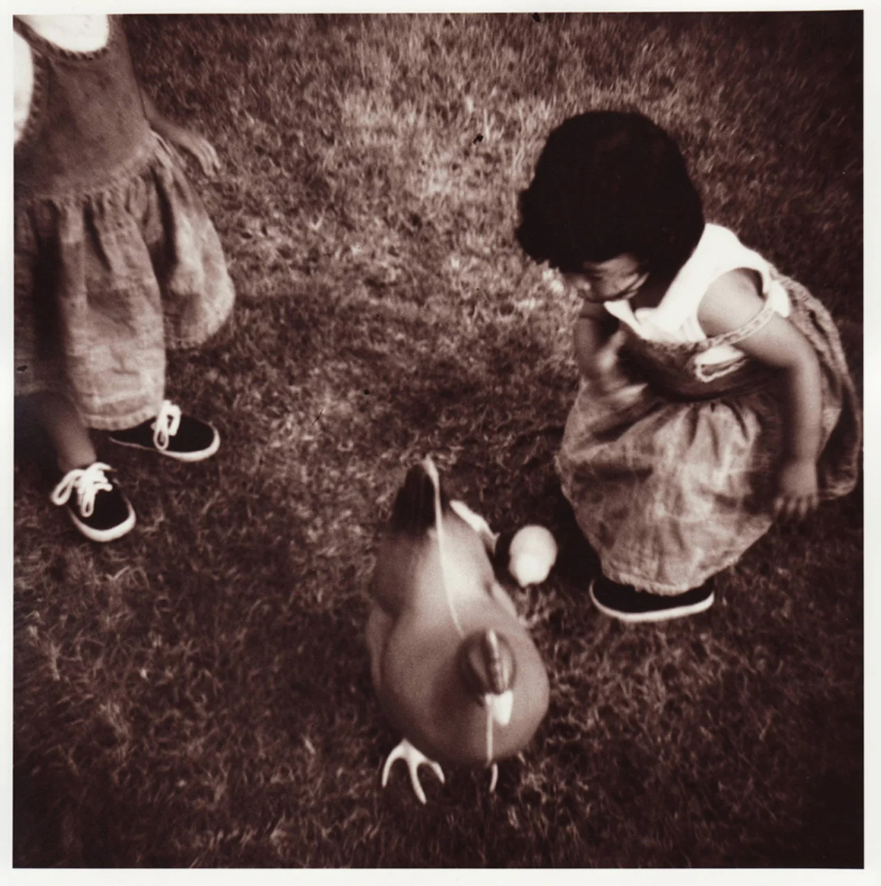 AngarolaHsu:The Hen.jpg