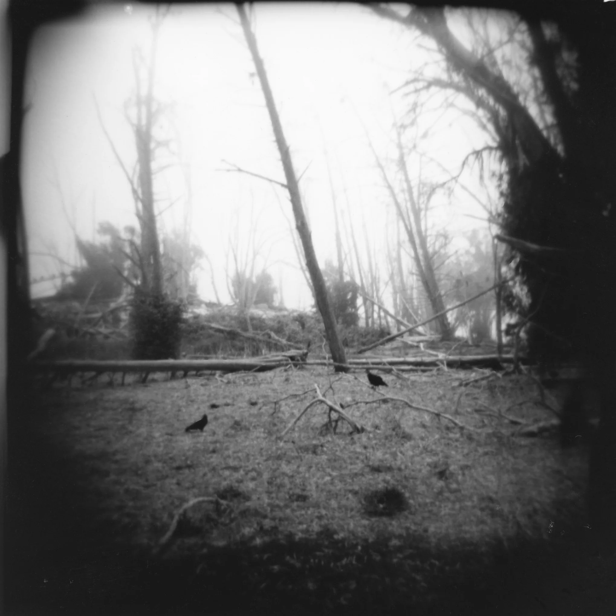 img110.jpg