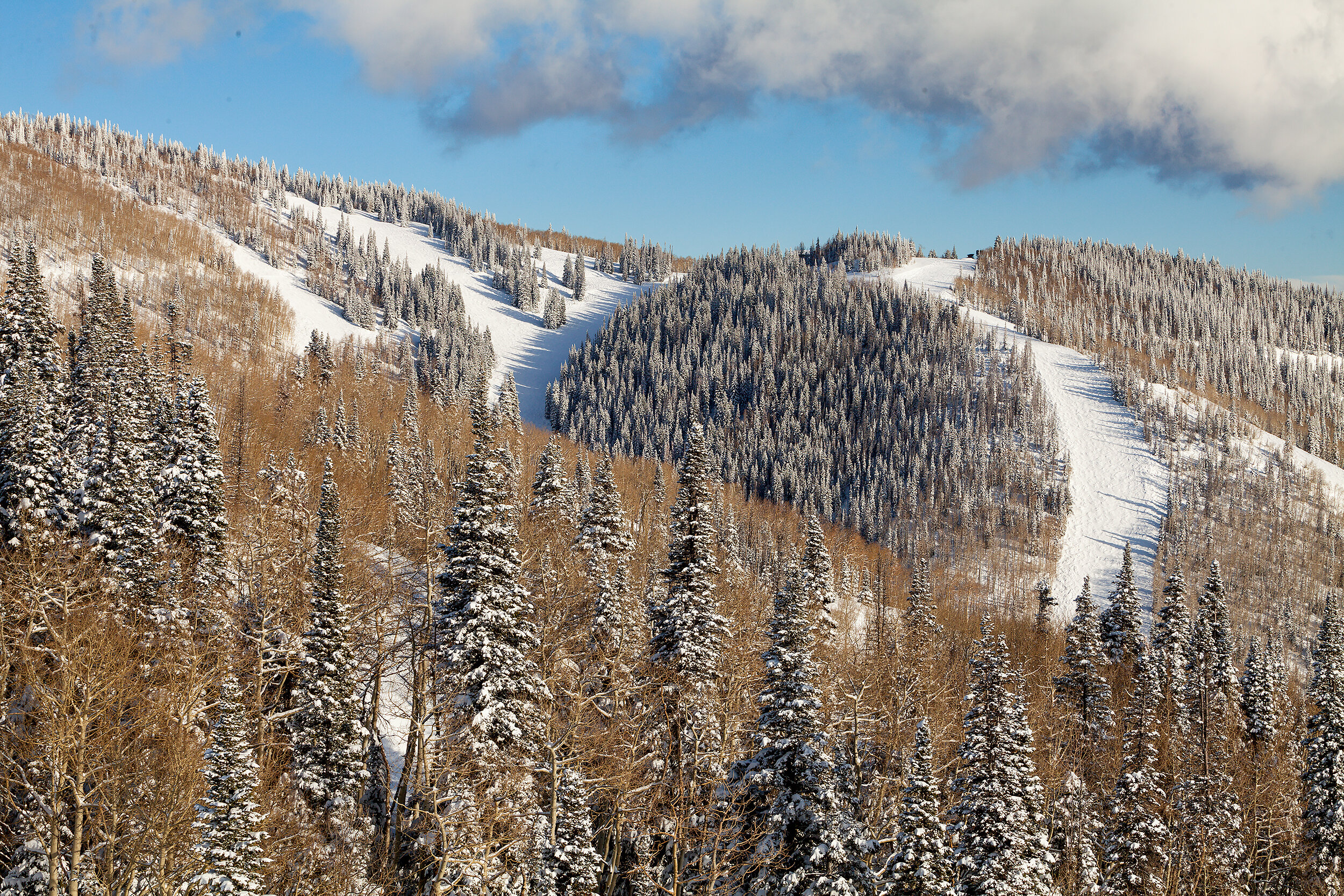 Mt. Werner in winter