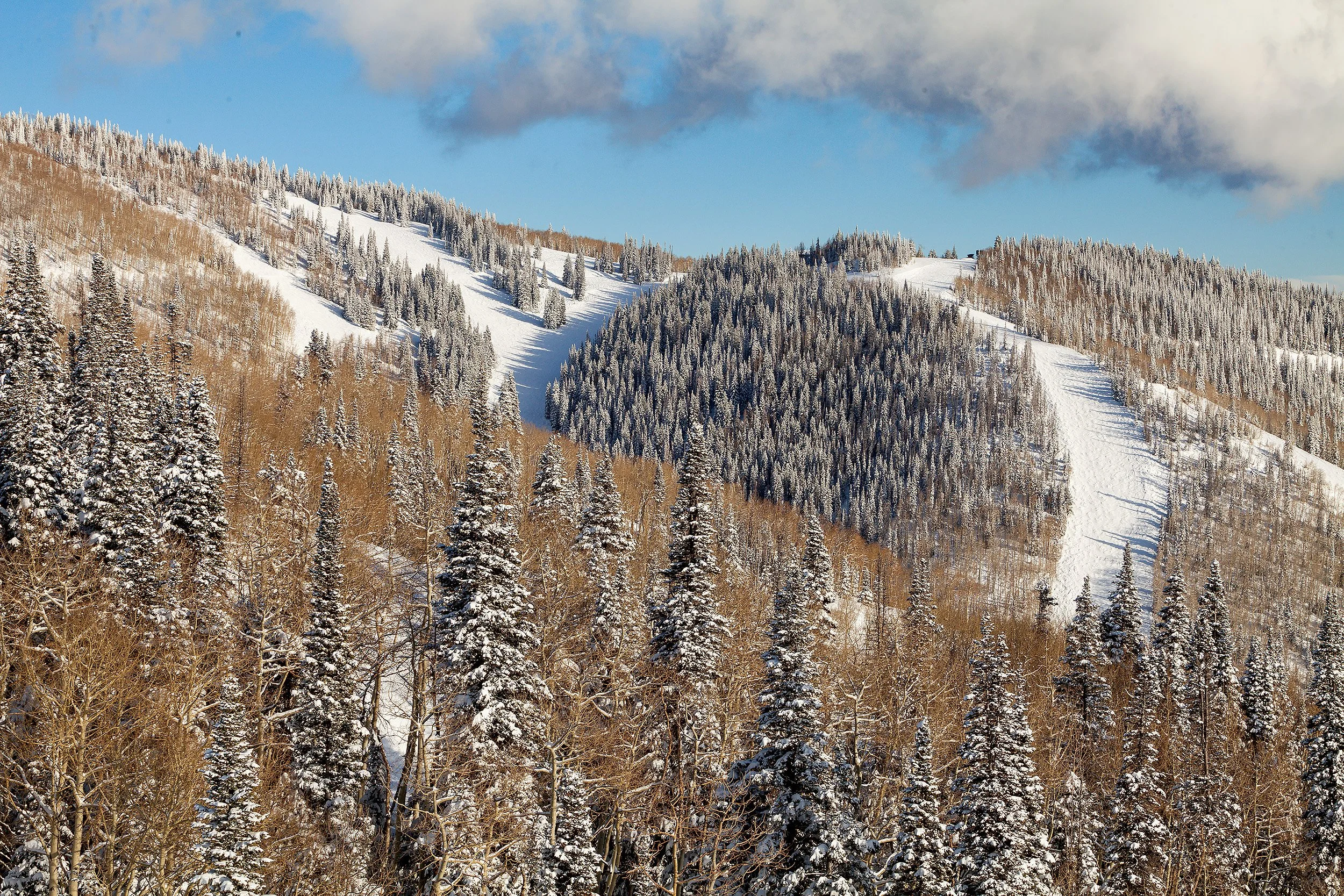 Mt_Werner_Views_01.jpg
