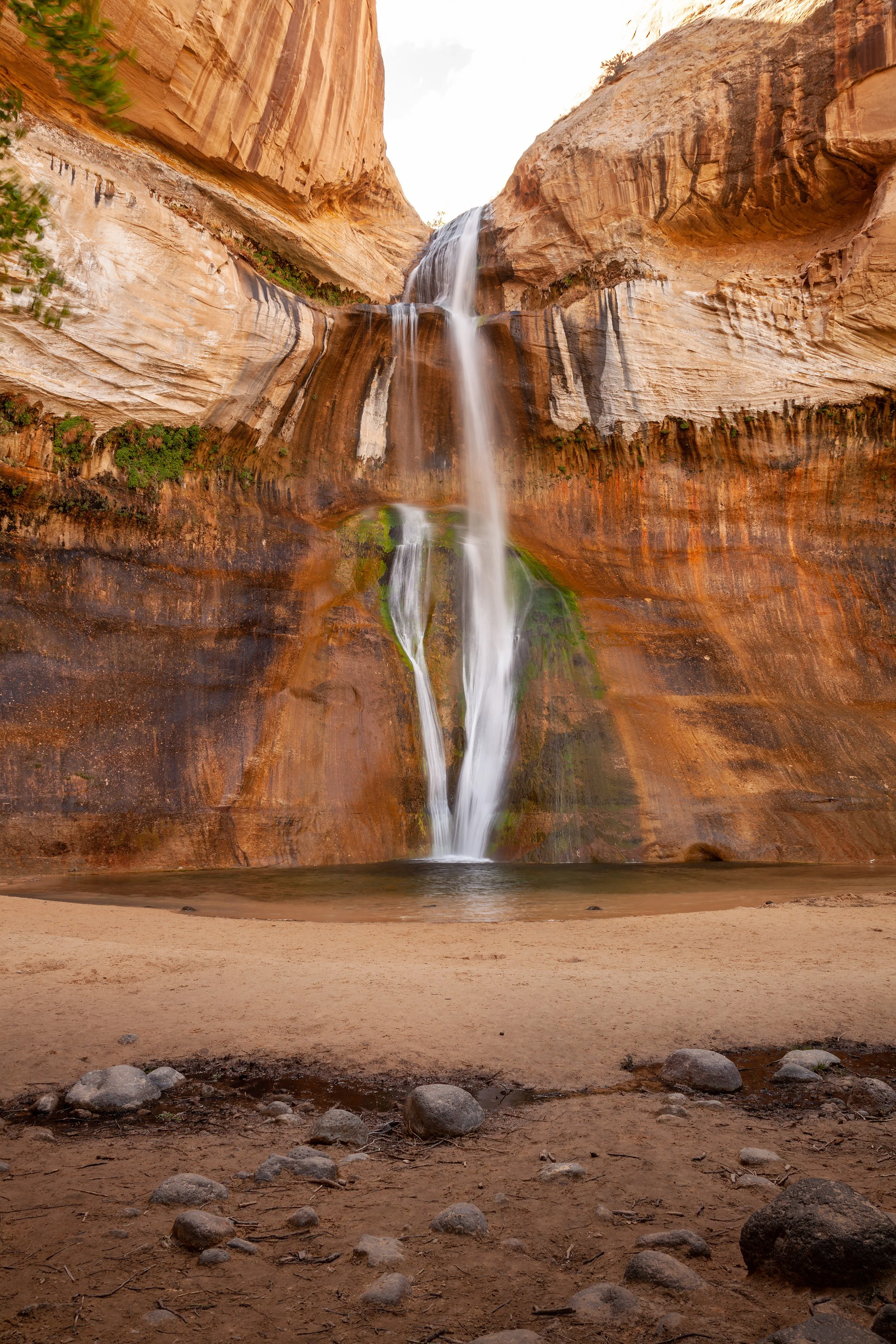 Spring_Break_2015_Zion_393.jpg