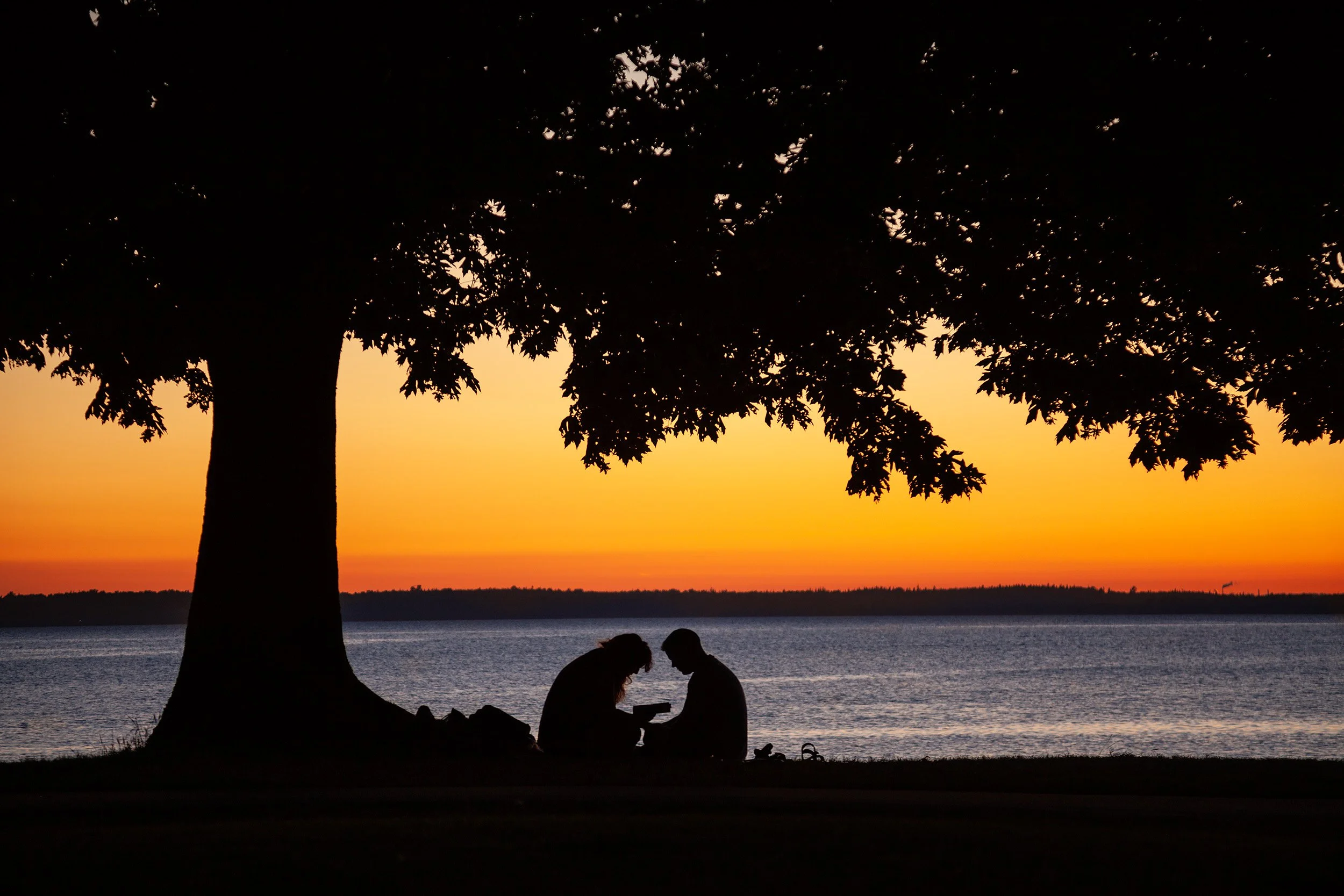 Light_Reading_Bellingham_Bay.jpg