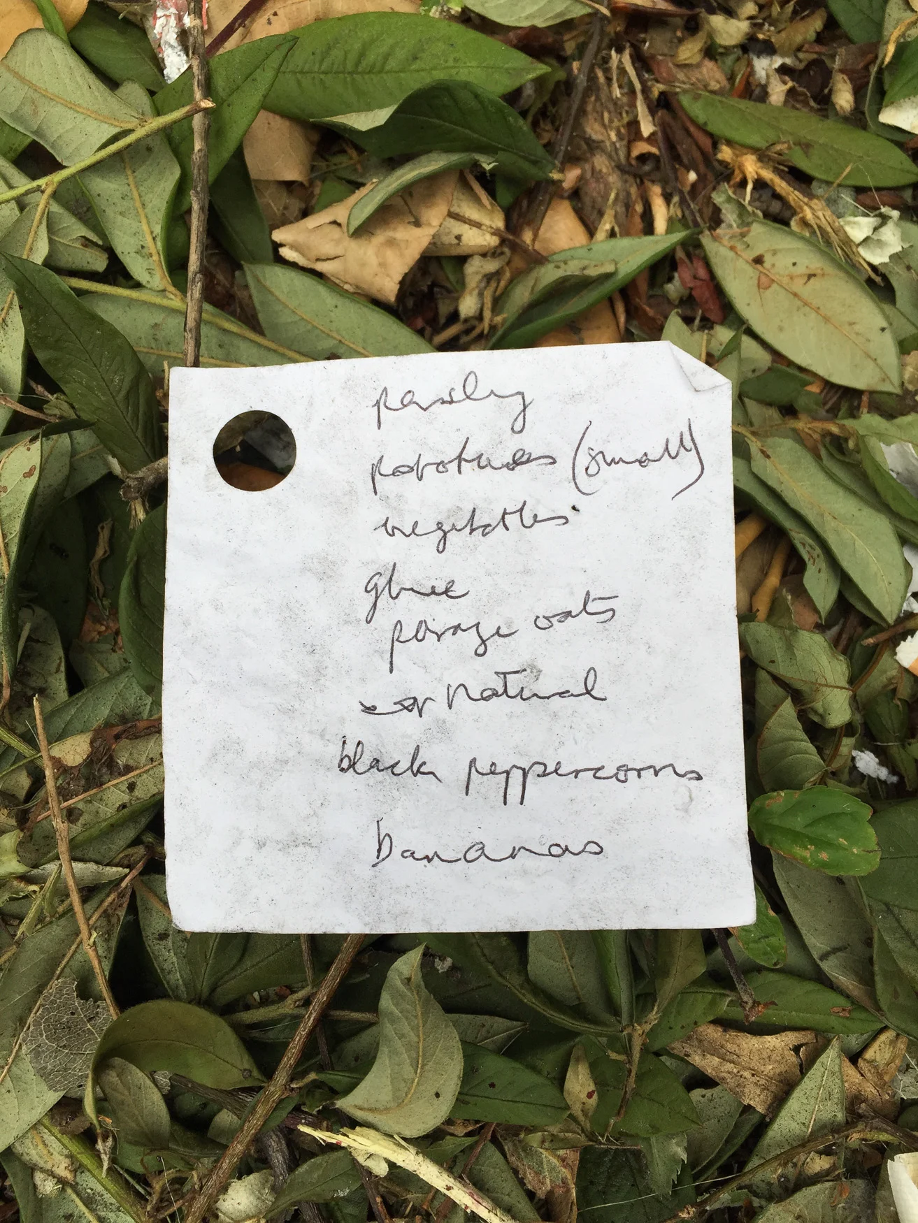 Other people's shopping lists