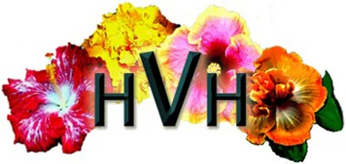 HIDDEN VALLEY HIBISCUS