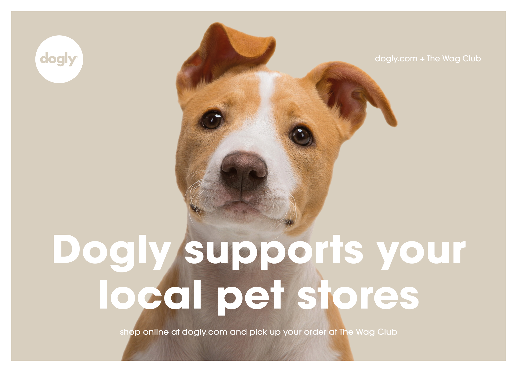 dogly_postcard_dog_20171229_03.png