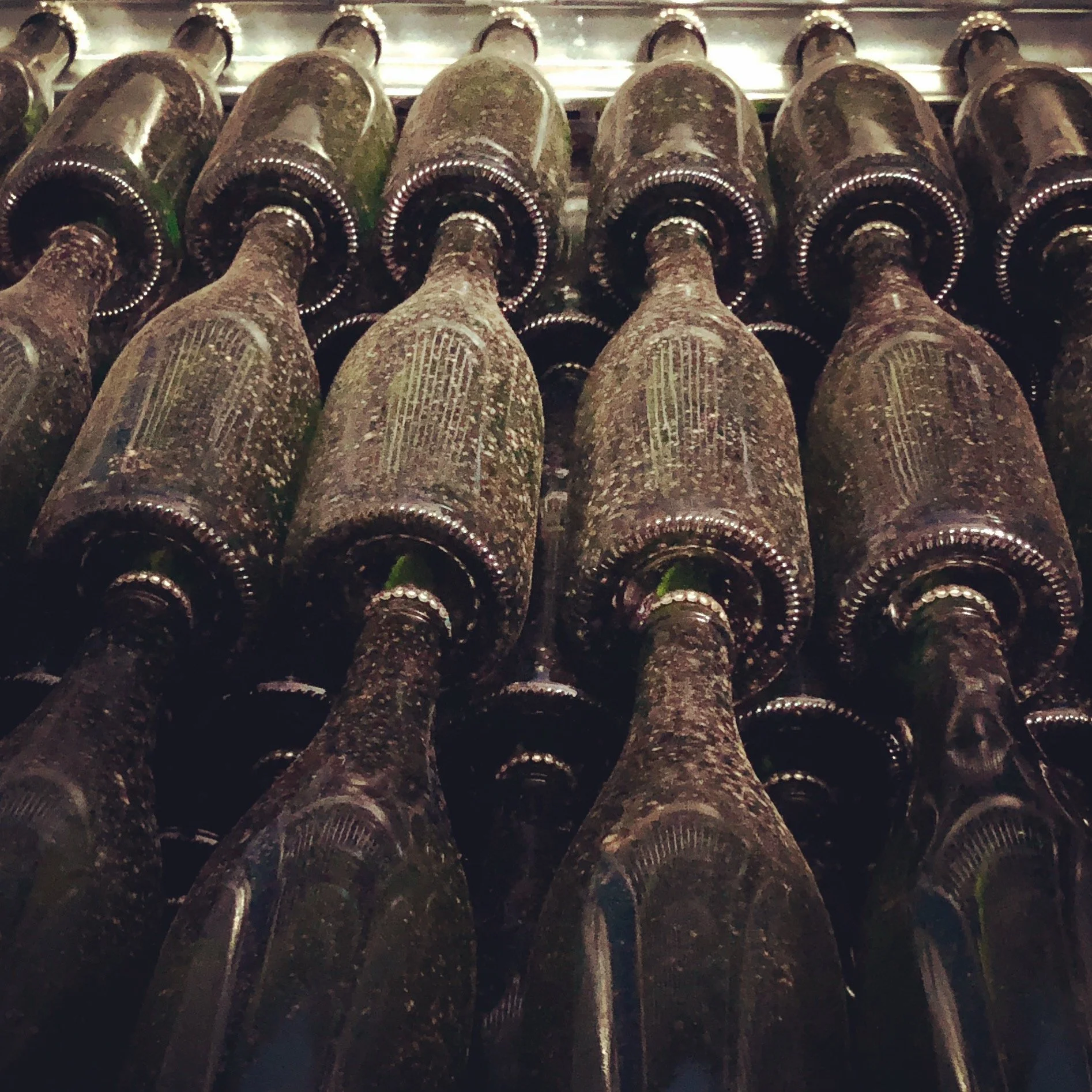 18 month bottle lees ageing.jpg