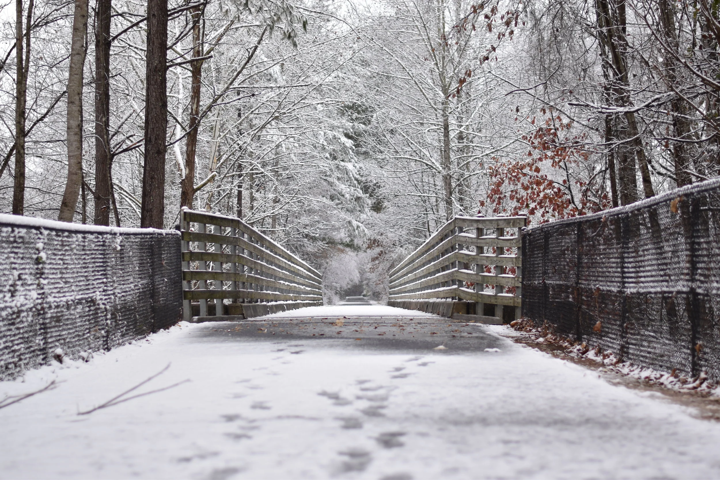 What is the Temperature in the Metro? And a free GIVEAWAY! 