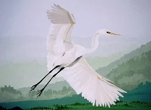 Great Egret