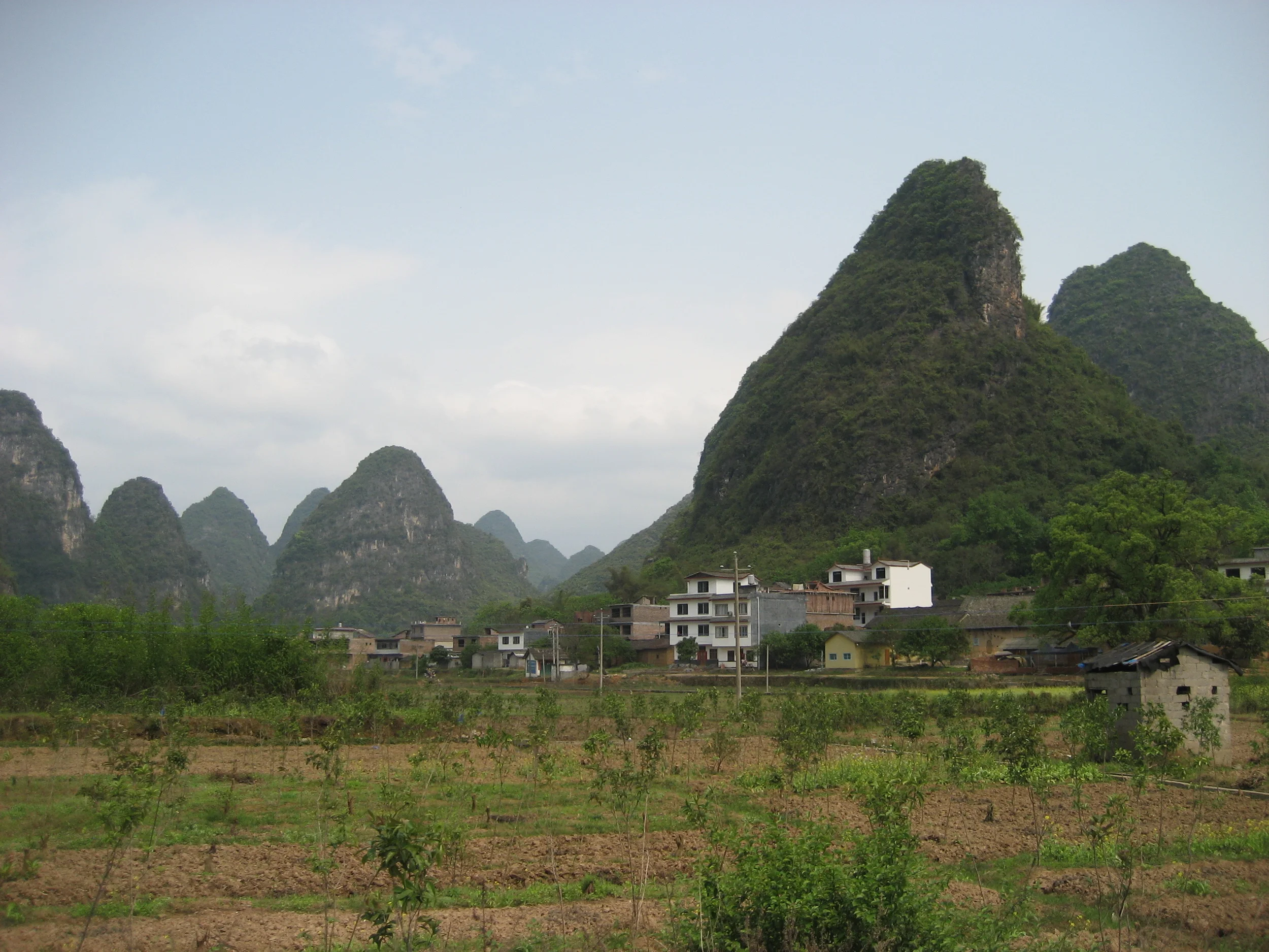 IMG_1894-1.JPG