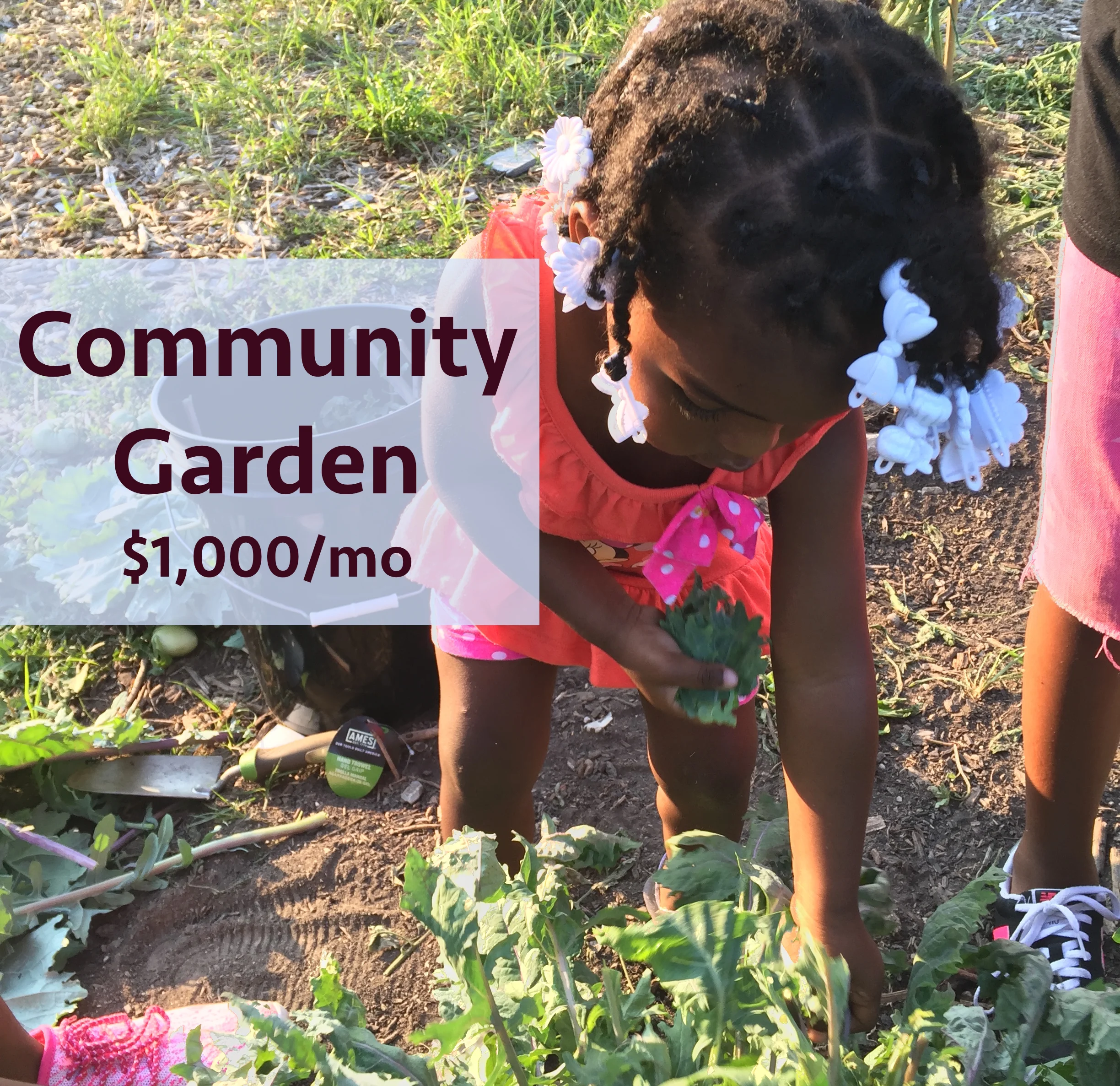 community garden.JPG